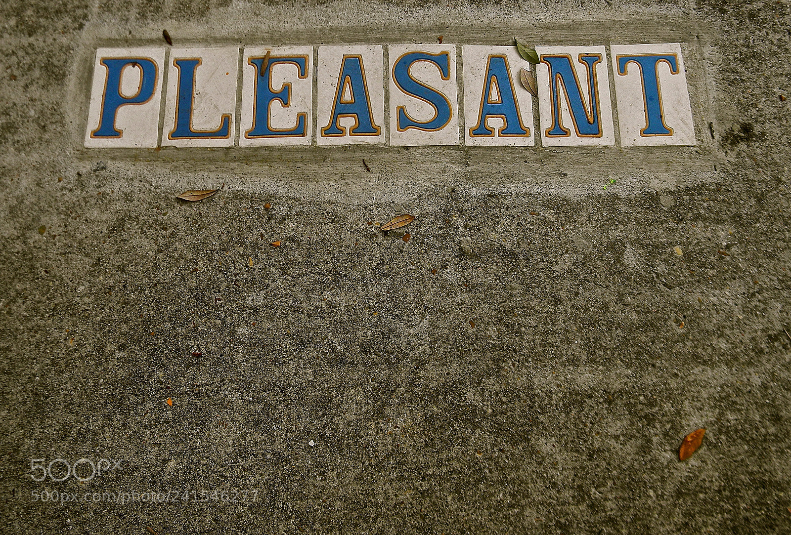 Nikon Coolpix L110 sample photo. Pleasant street, new orleans photography