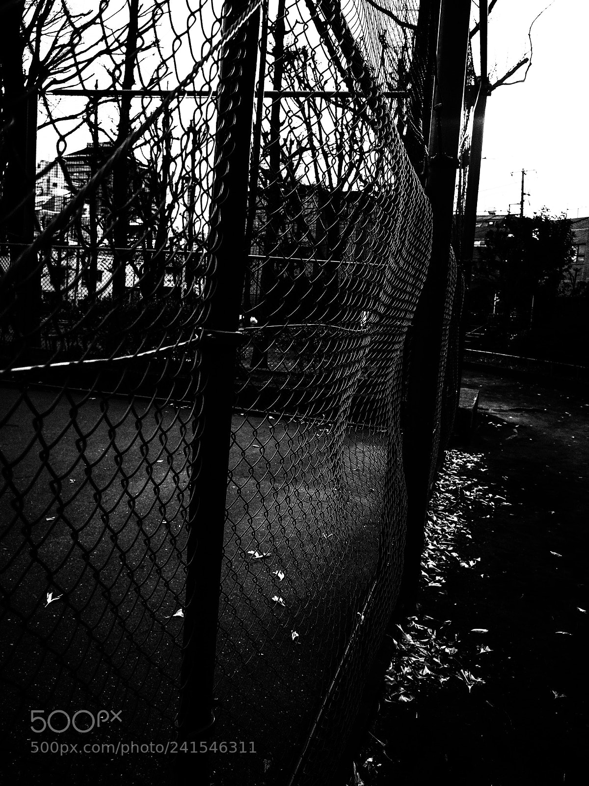 Ricoh GR II sample photo. Untitled photography
