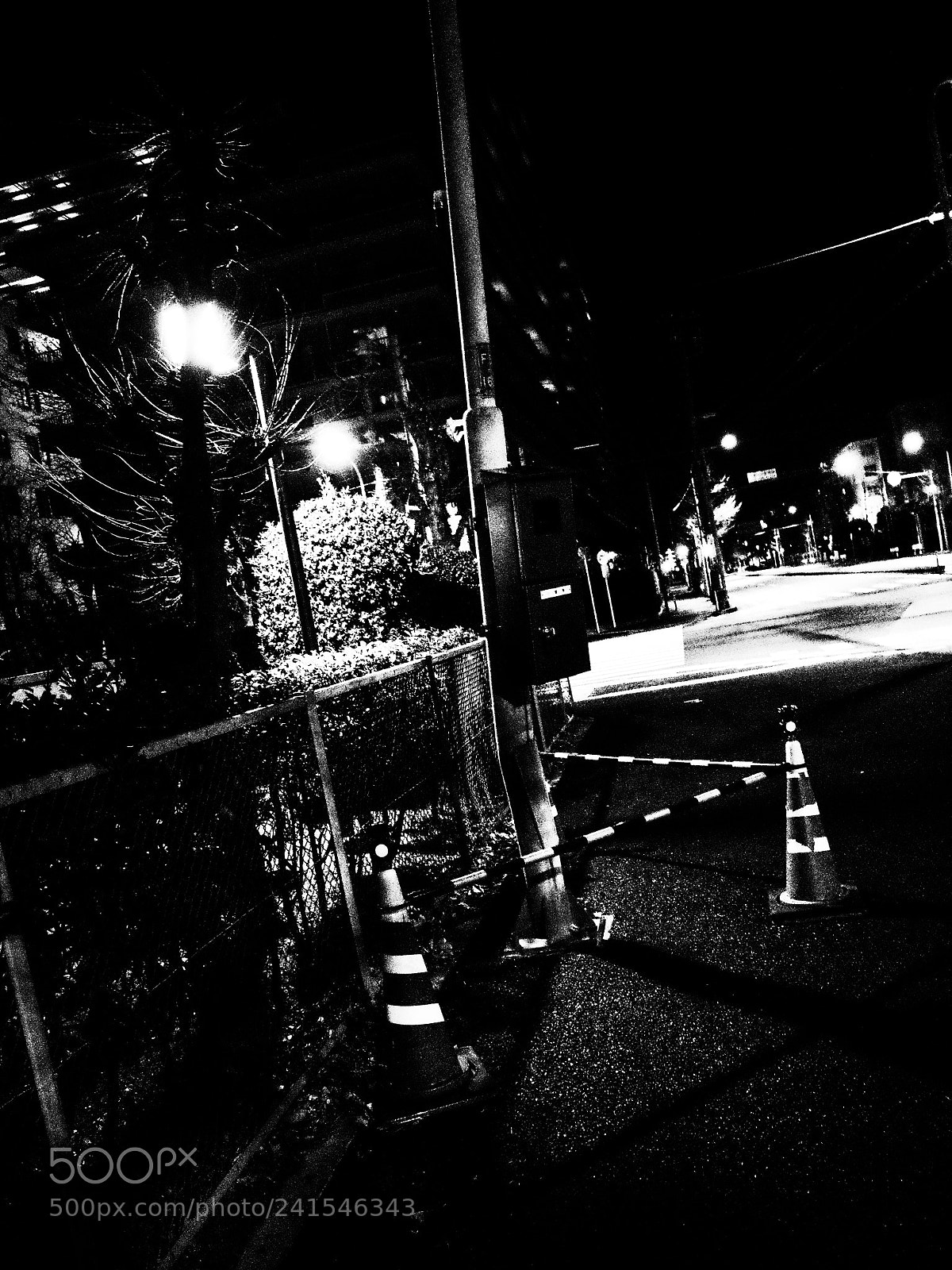 Ricoh GR II sample photo. Untitled photography