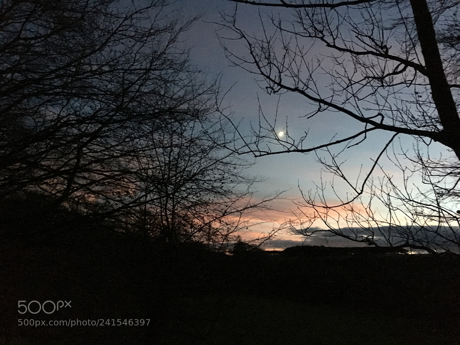 Apple iPhone 6s sample photo. Winter moon photography