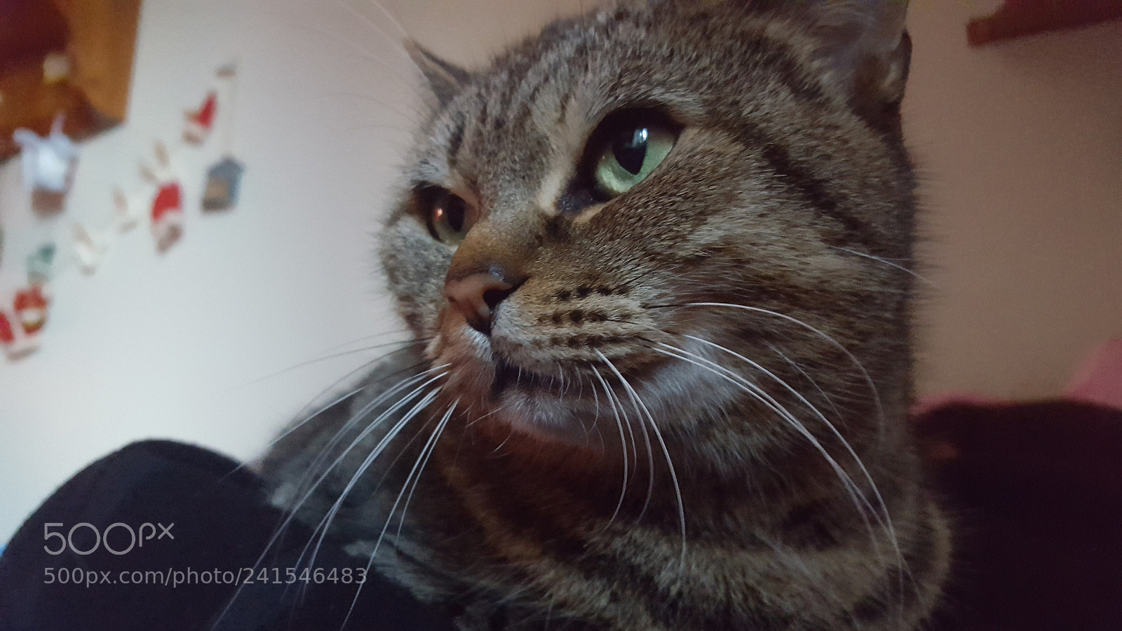 Samsung Galaxy S6 sample photo. Untitled photography