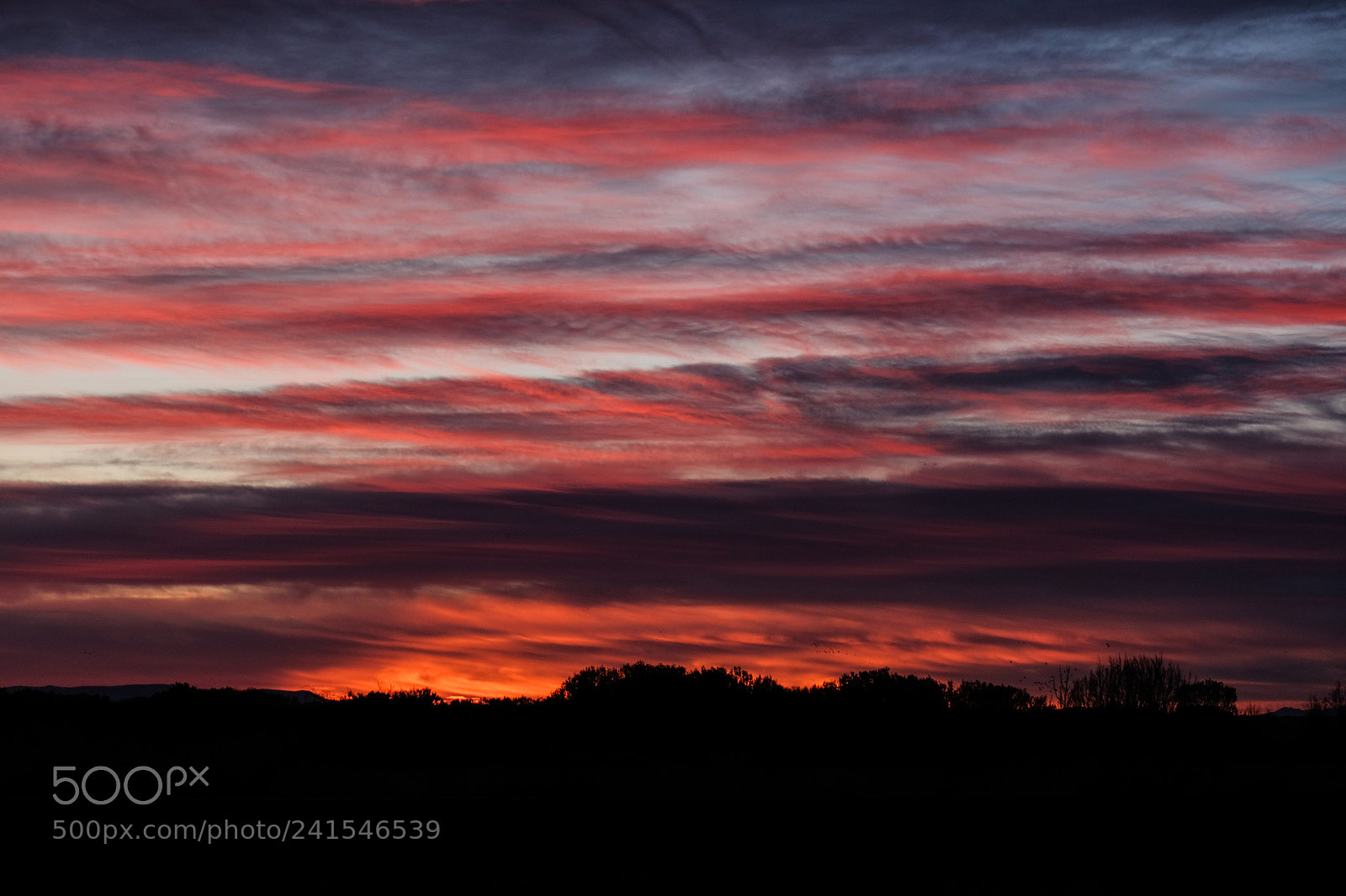 Fujifilm X-T20 sample photo. Winter sunrise photography