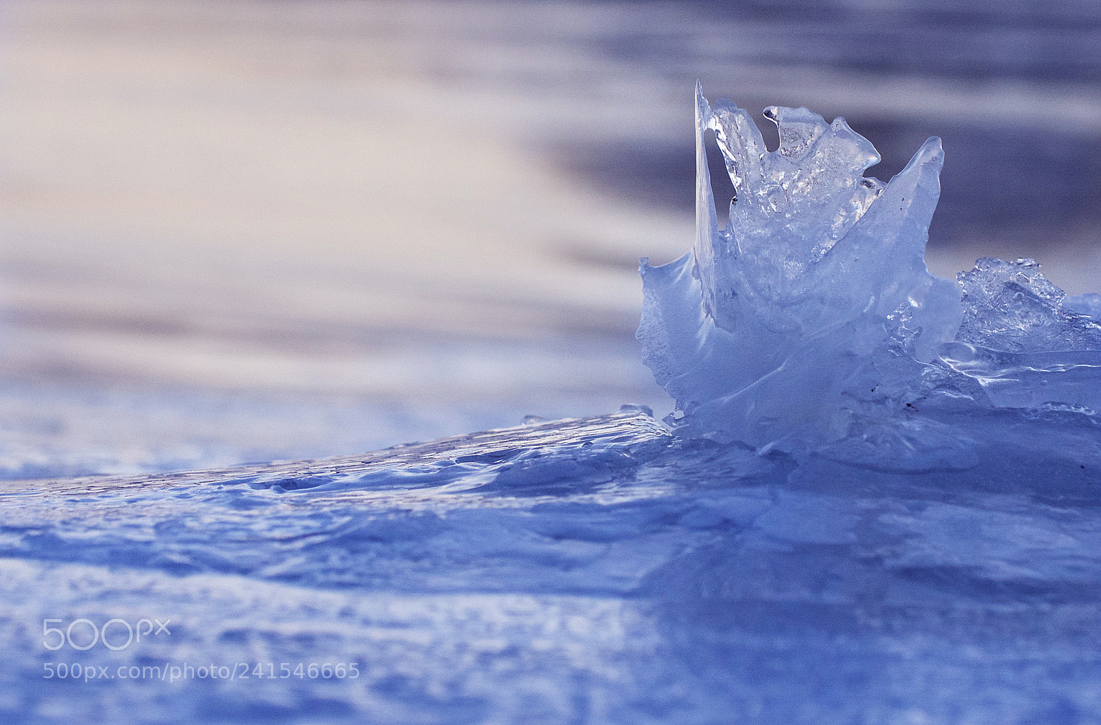 Olympus PEN E-PL7 sample photo. Ice crystal photography
