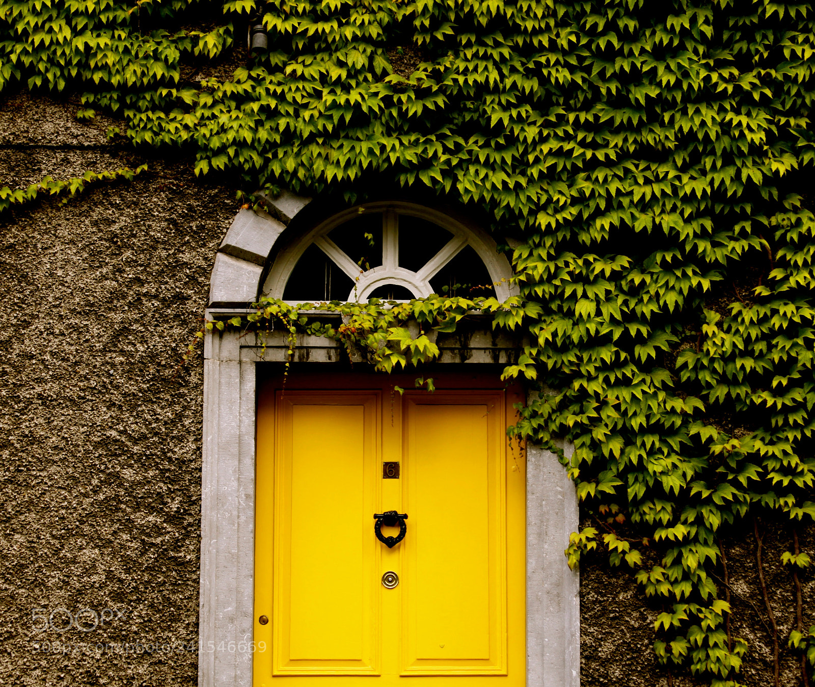Canon EOS 50D sample photo. Yellow door, dublin photography
