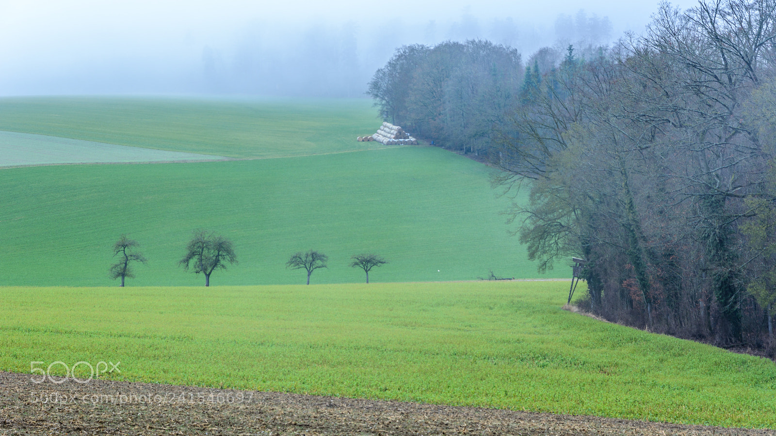 Nikon D7100 sample photo. Untitled photography