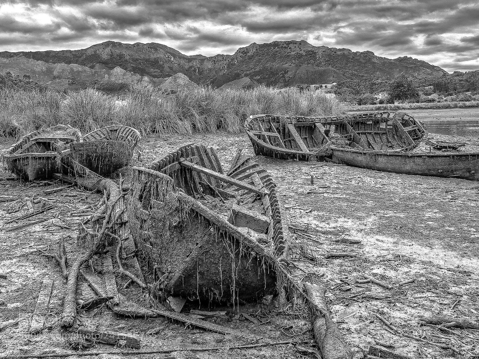 Nikon D800 sample photo. The ghosts photography