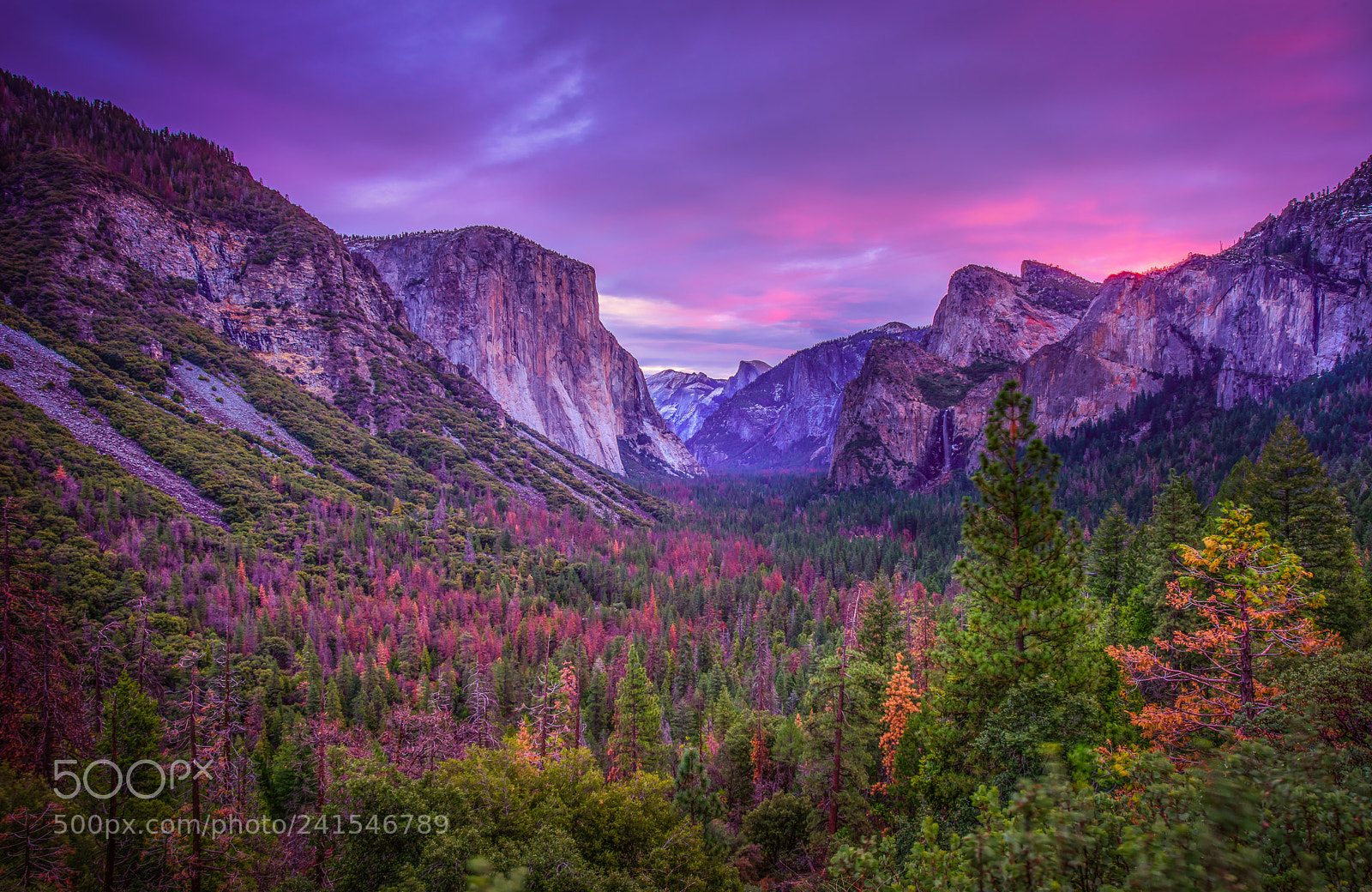 Nikon D810 sample photo. Yosemite in dreams photography