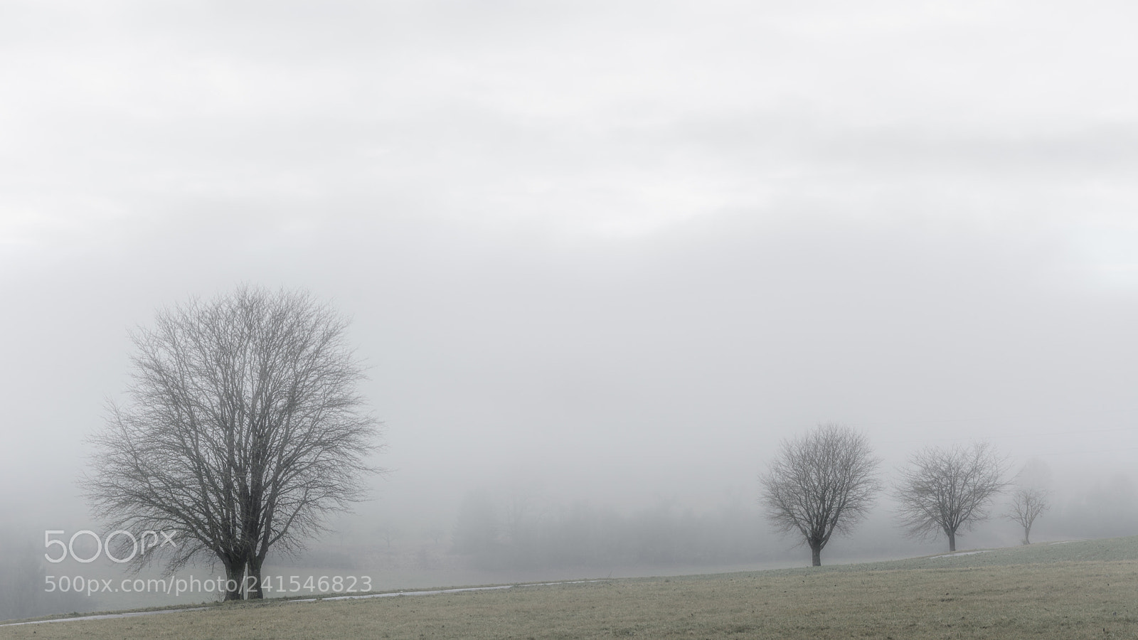 Nikon D7100 sample photo. Untitled photography