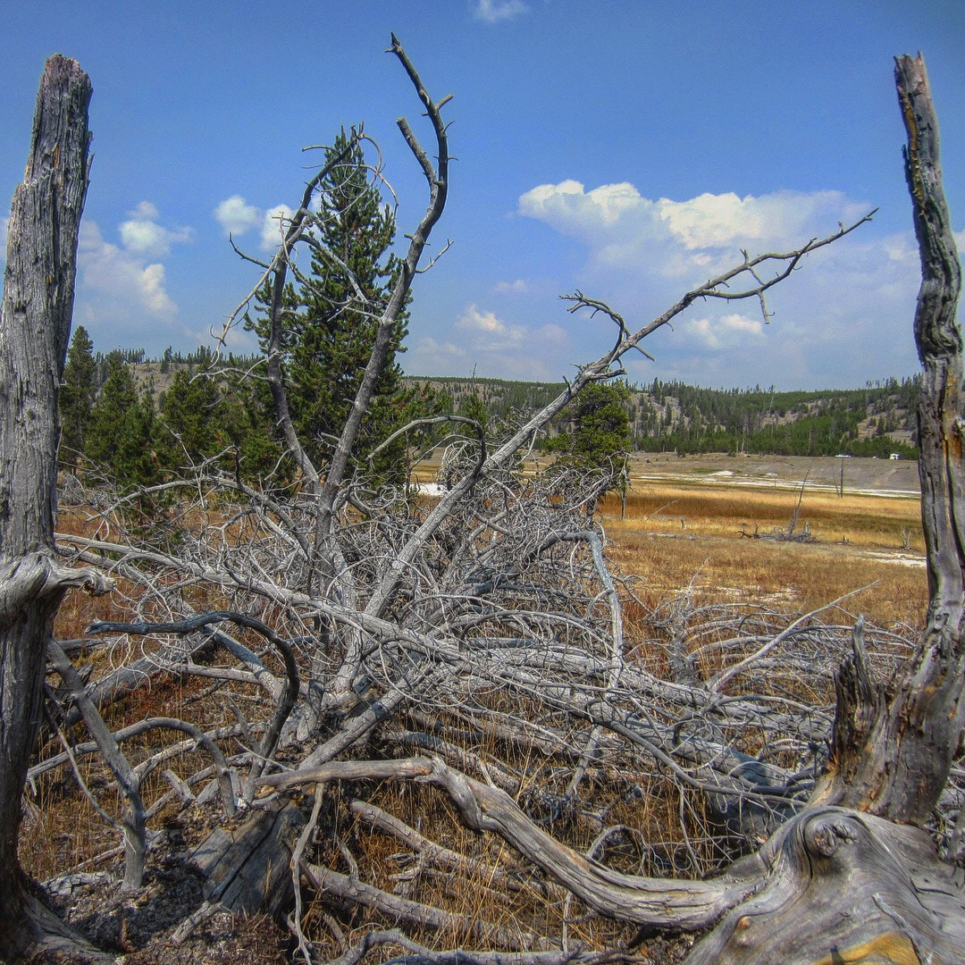 Canon PowerShot ELPH 300 HS (IXUS 220 HS / IXY 410F) sample photo. Yellowstone nationalpark / september 2017 photography