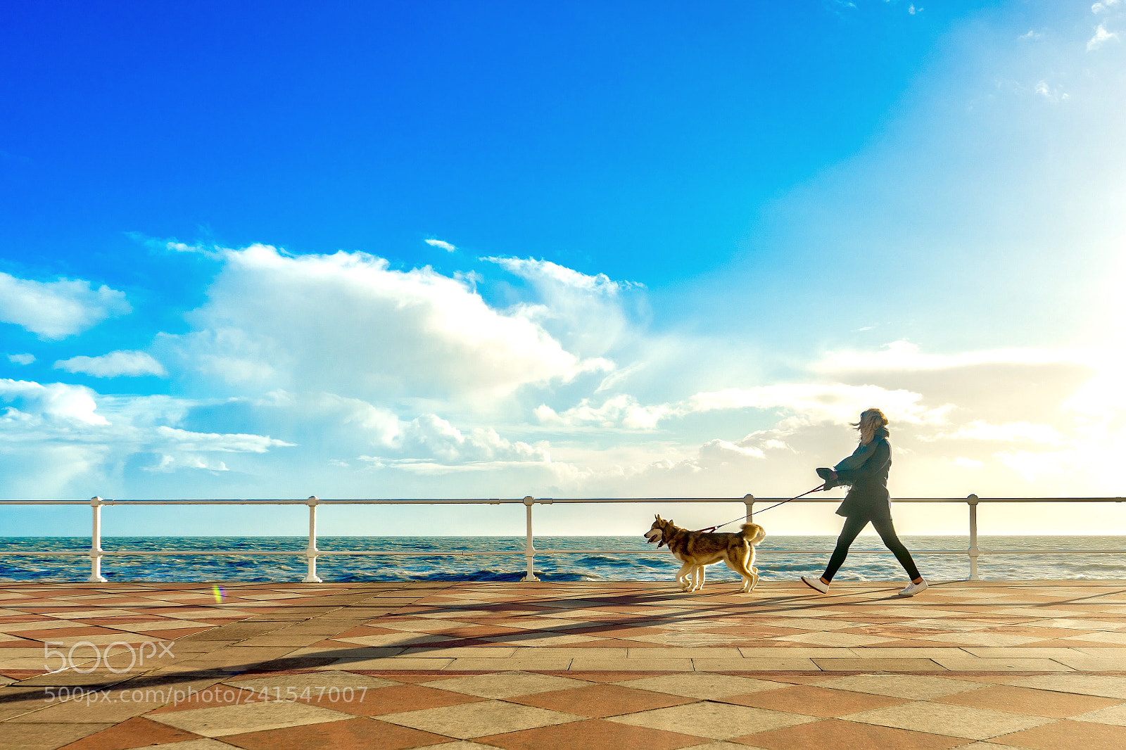 Sony a7 sample photo. Walking the human photography