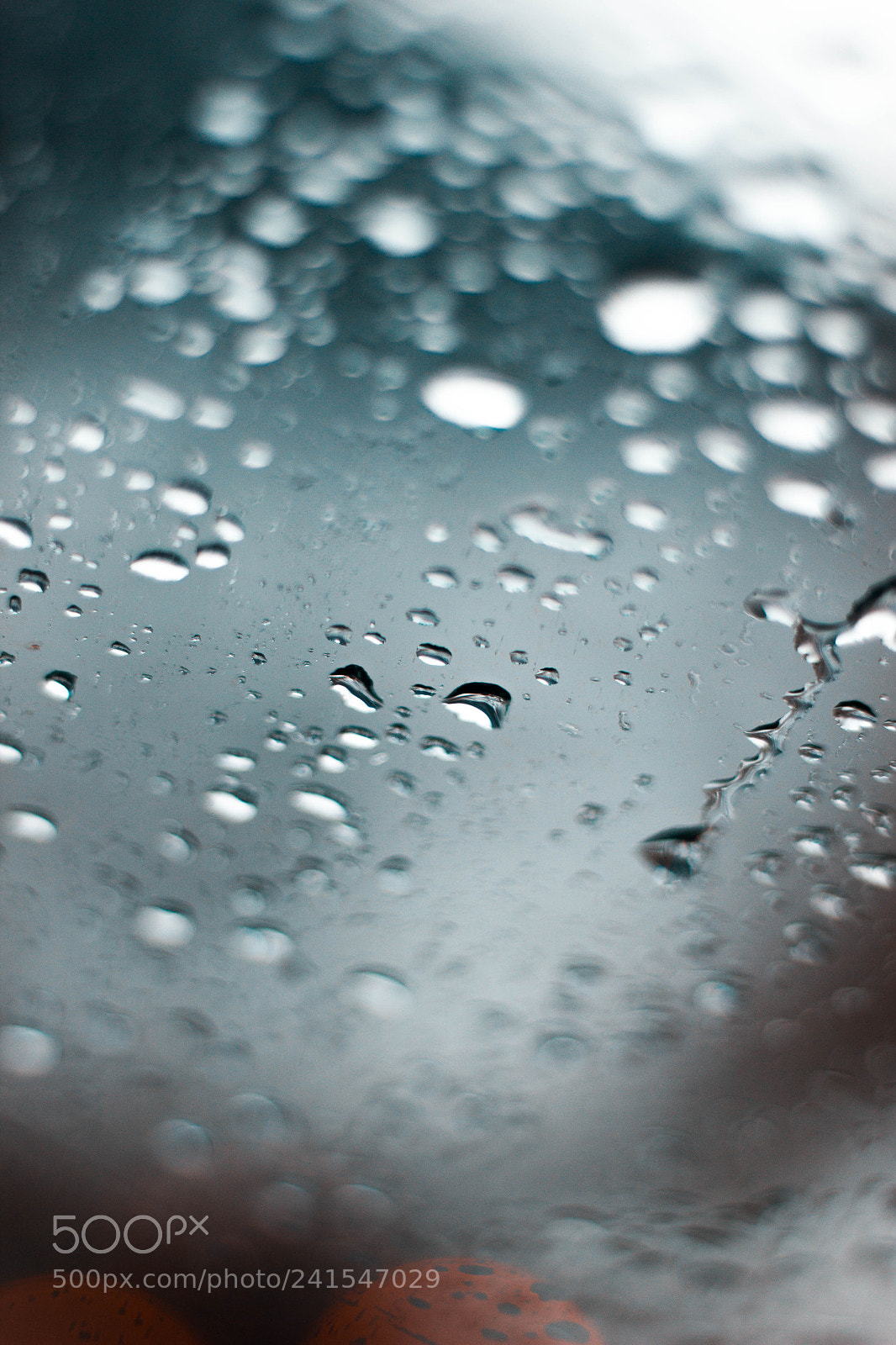 Canon EOS 550D (EOS Rebel T2i / EOS Kiss X4) sample photo. Drops photography