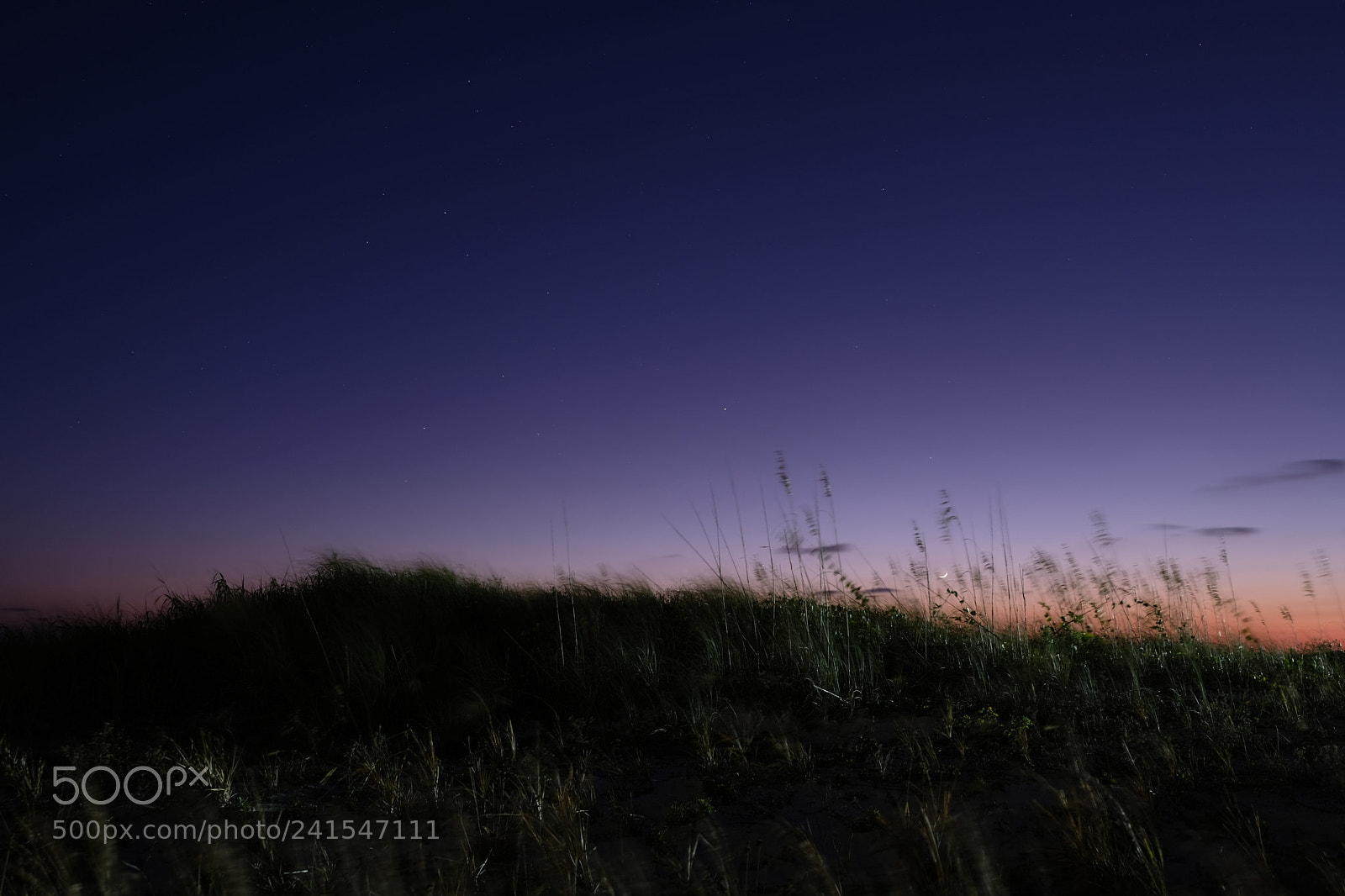 Fujifilm X-E3 sample photo. Small moon through grass photography