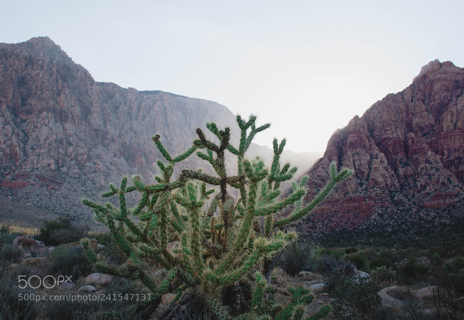 Nikon D7200 sample photo. Cim_2072-1.jpg photography
