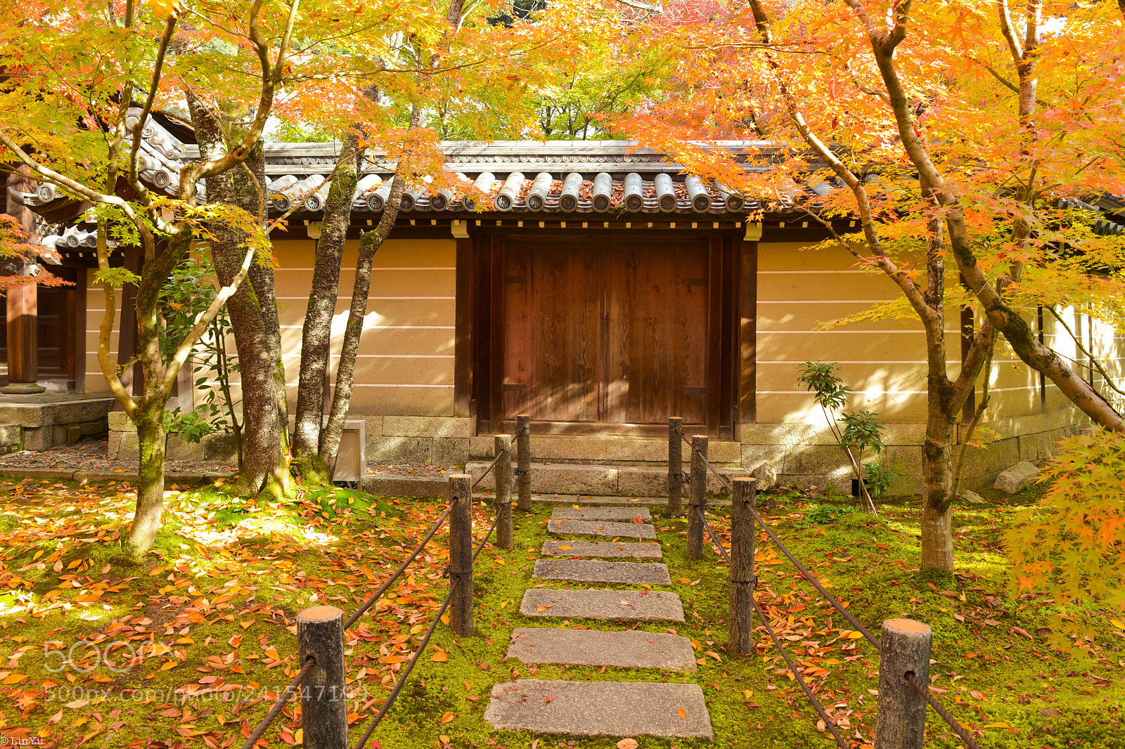 Nikon D600 sample photo. Kyoto photography