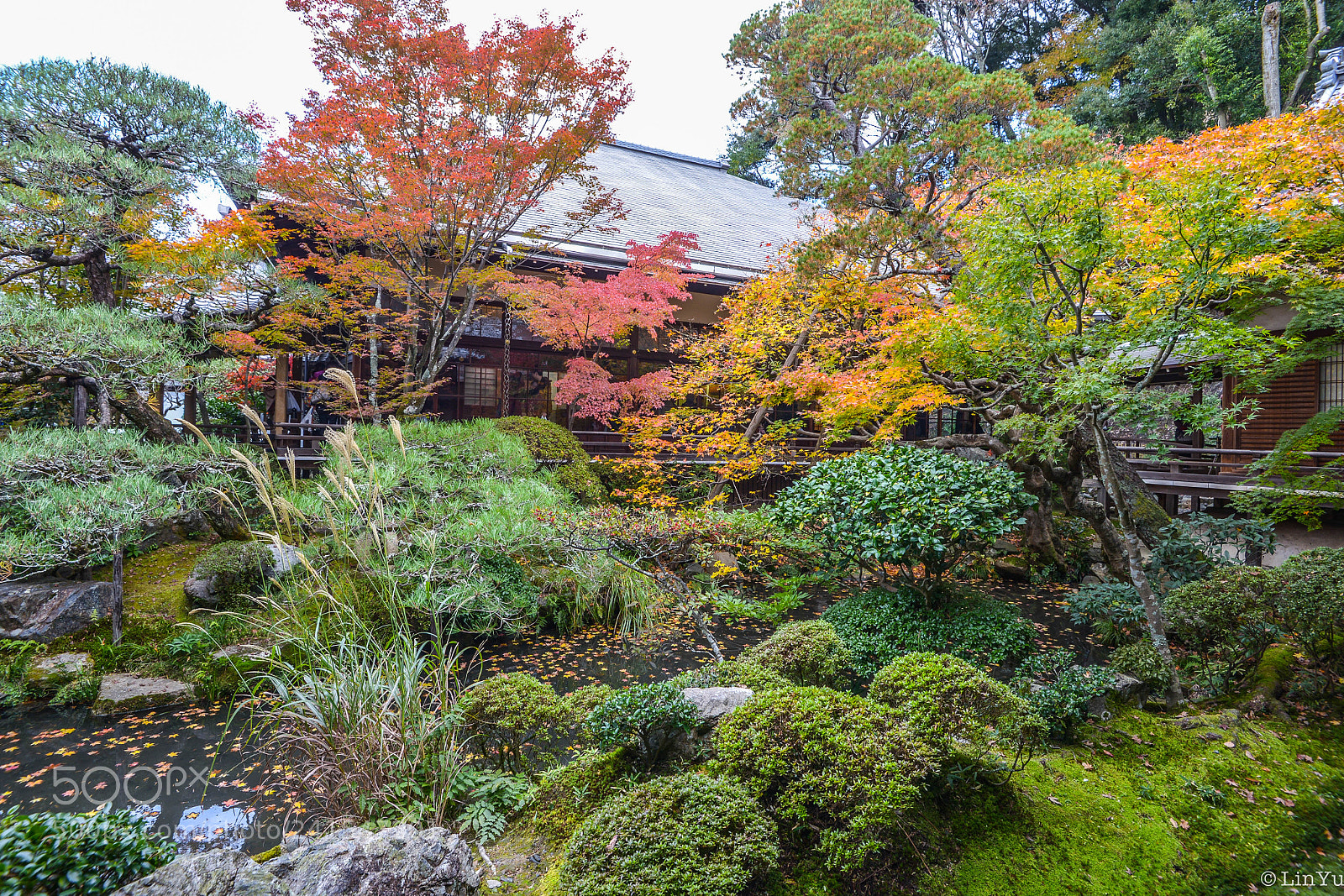 Nikon D600 sample photo. Kyoto photography