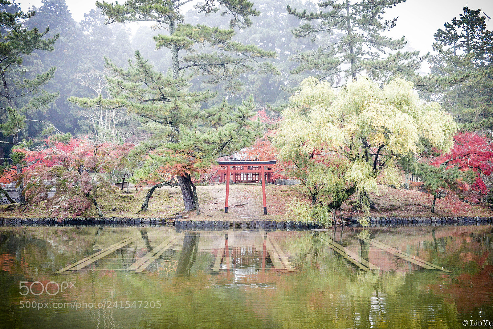 Nikon D600 sample photo. Kyoto photography