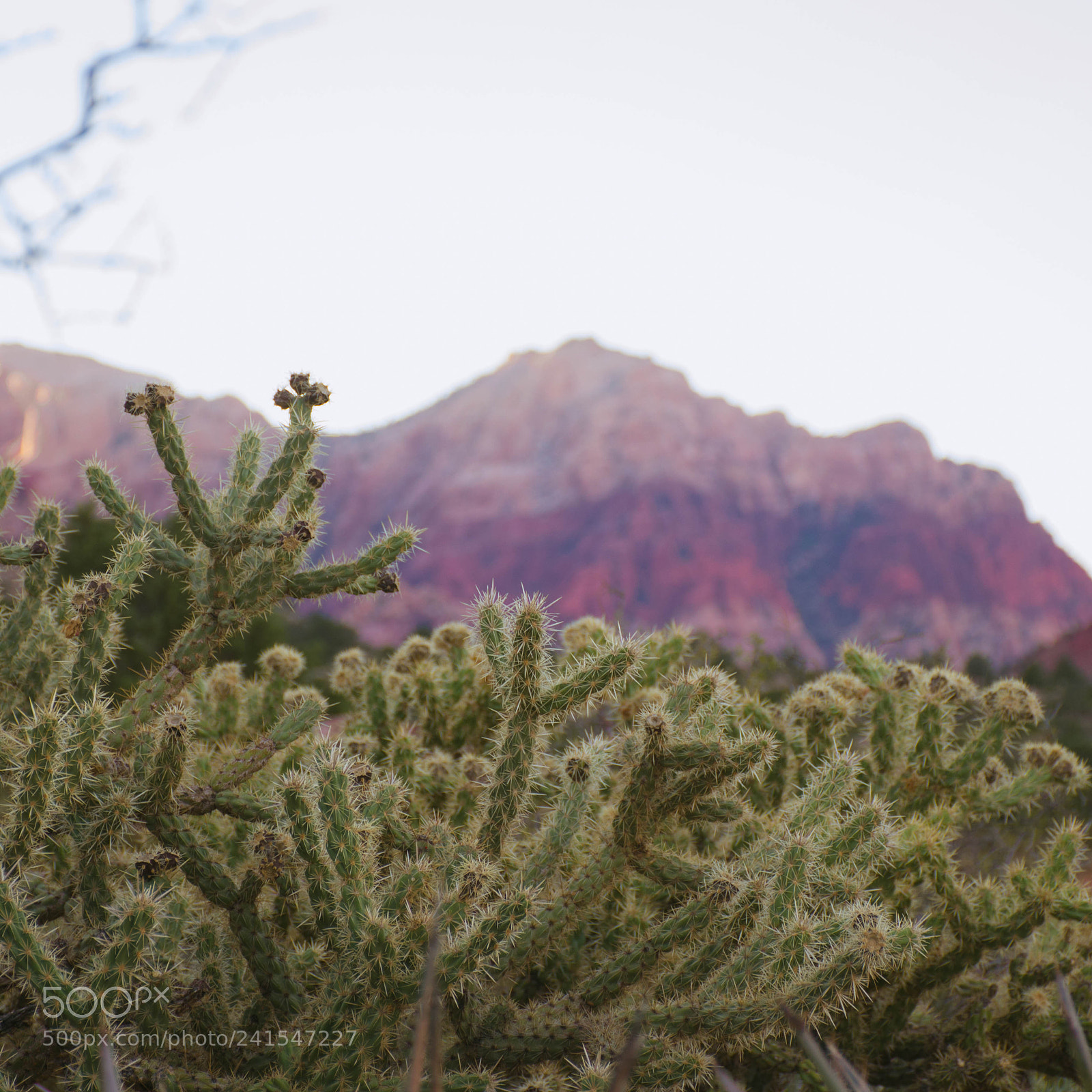 Nikon D7200 sample photo. Cm photography