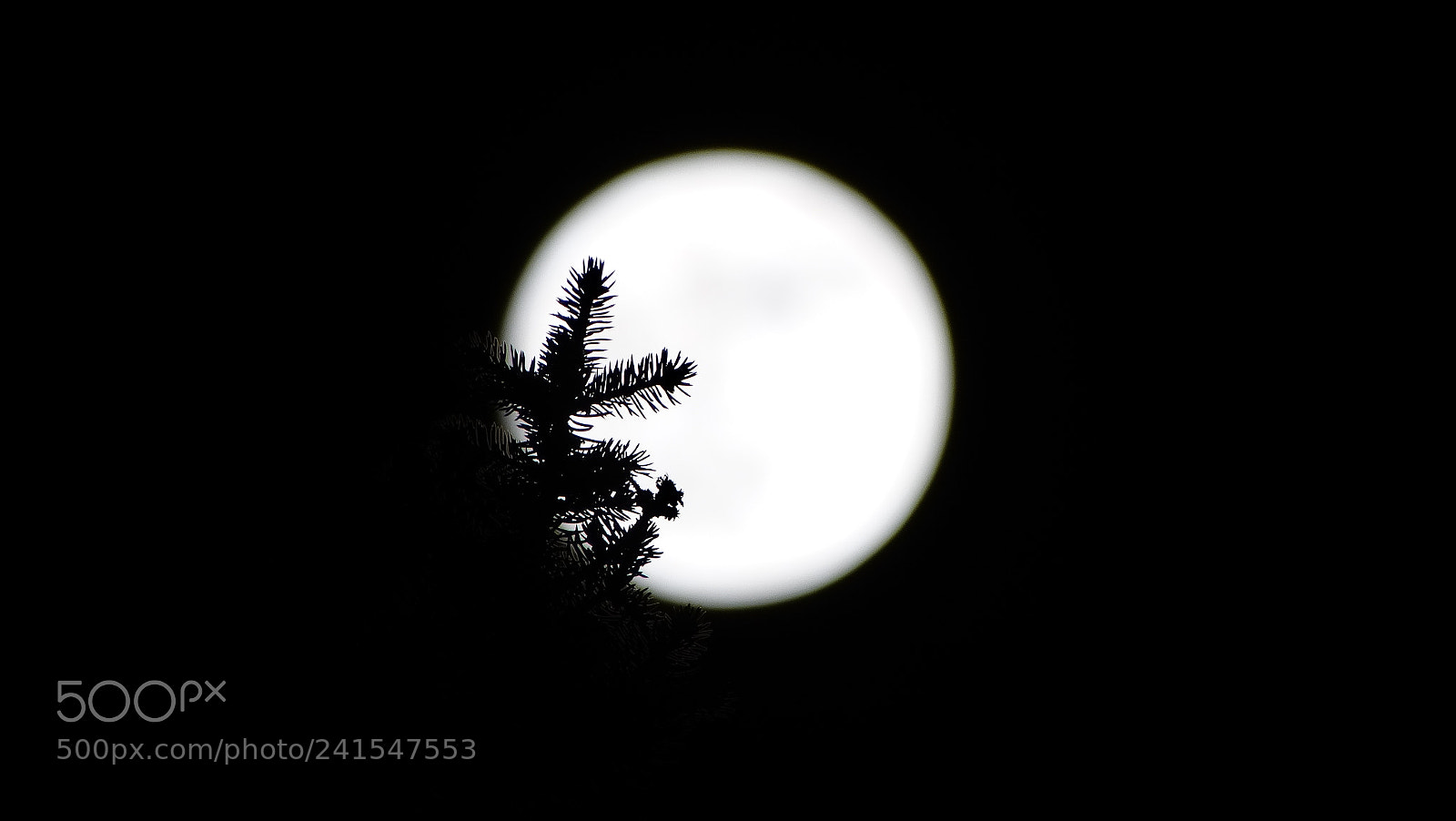Sony Cyber-shot DSC-HX300 sample photo. Moon photography