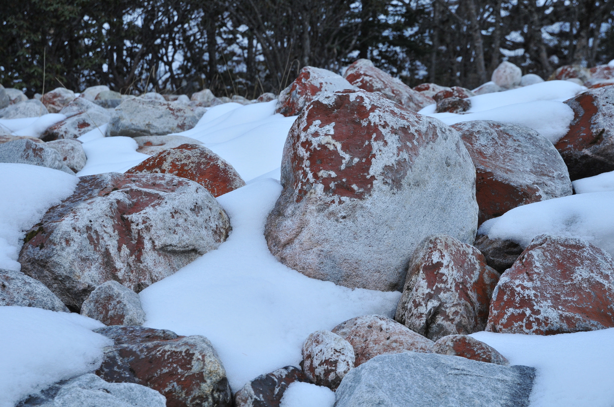 Nikon D300 sample photo