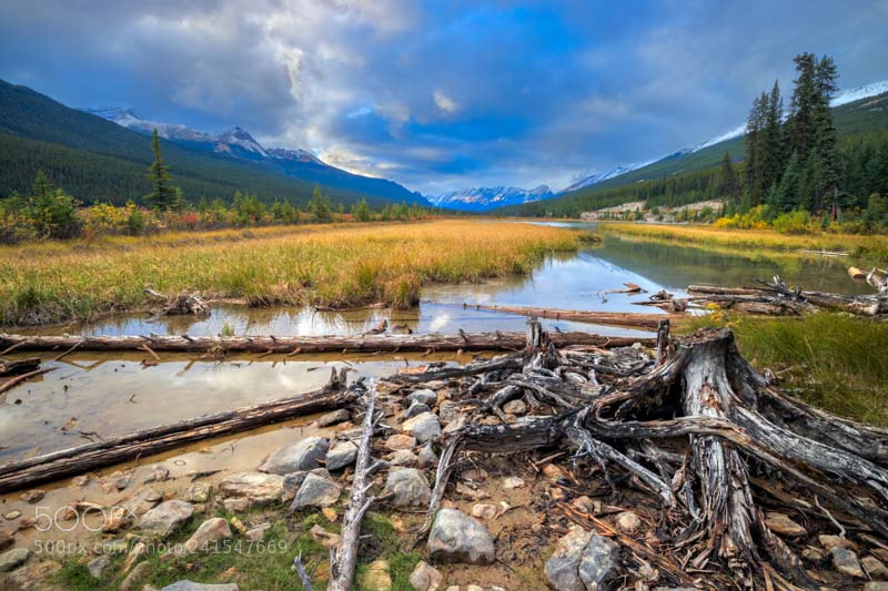 Canon EOS M3 sample photo. Waterfowl lake photography
