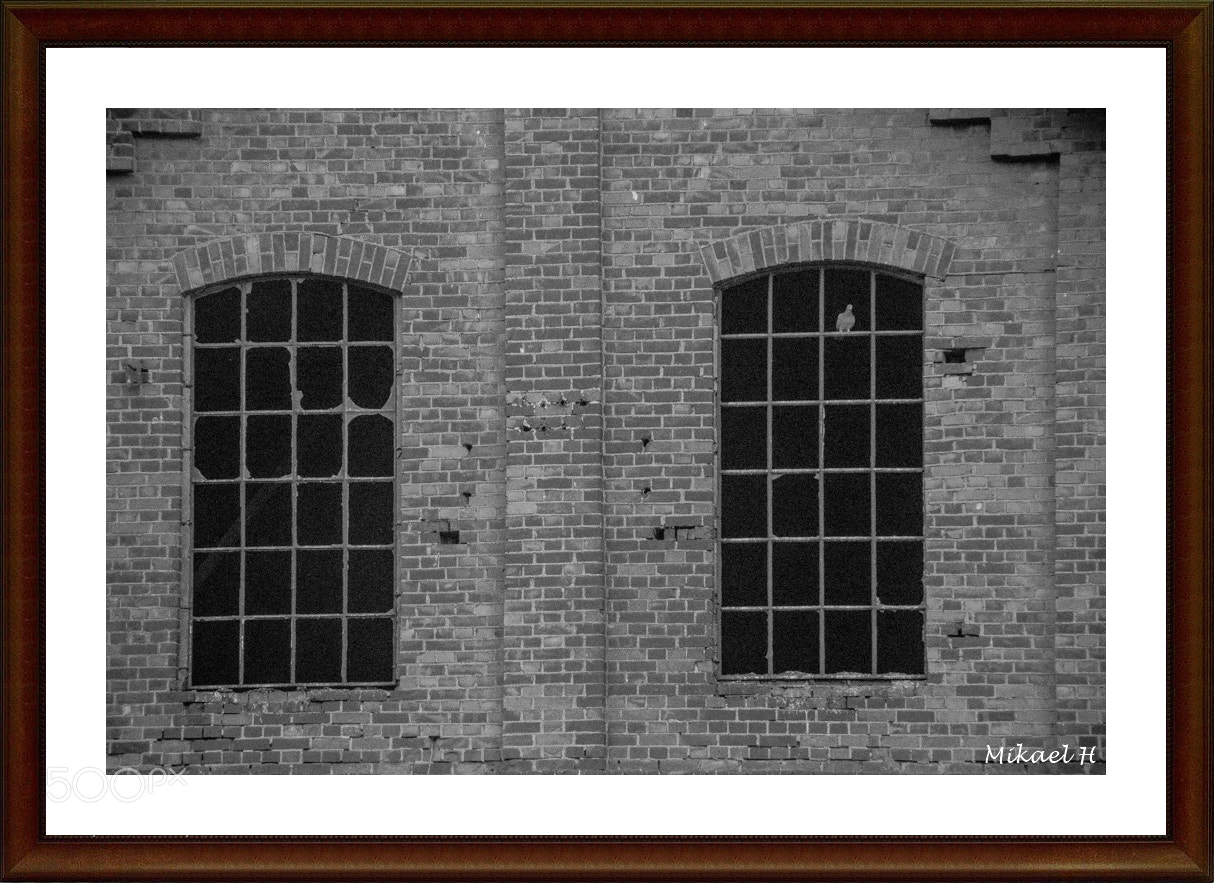 Pentax K-S2 sample photo. Old windows photography
