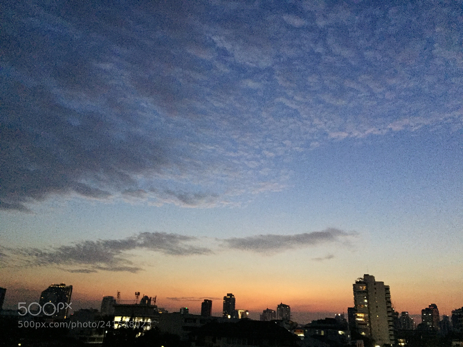 Apple iPhone 6 sample photo. Untitled photography
