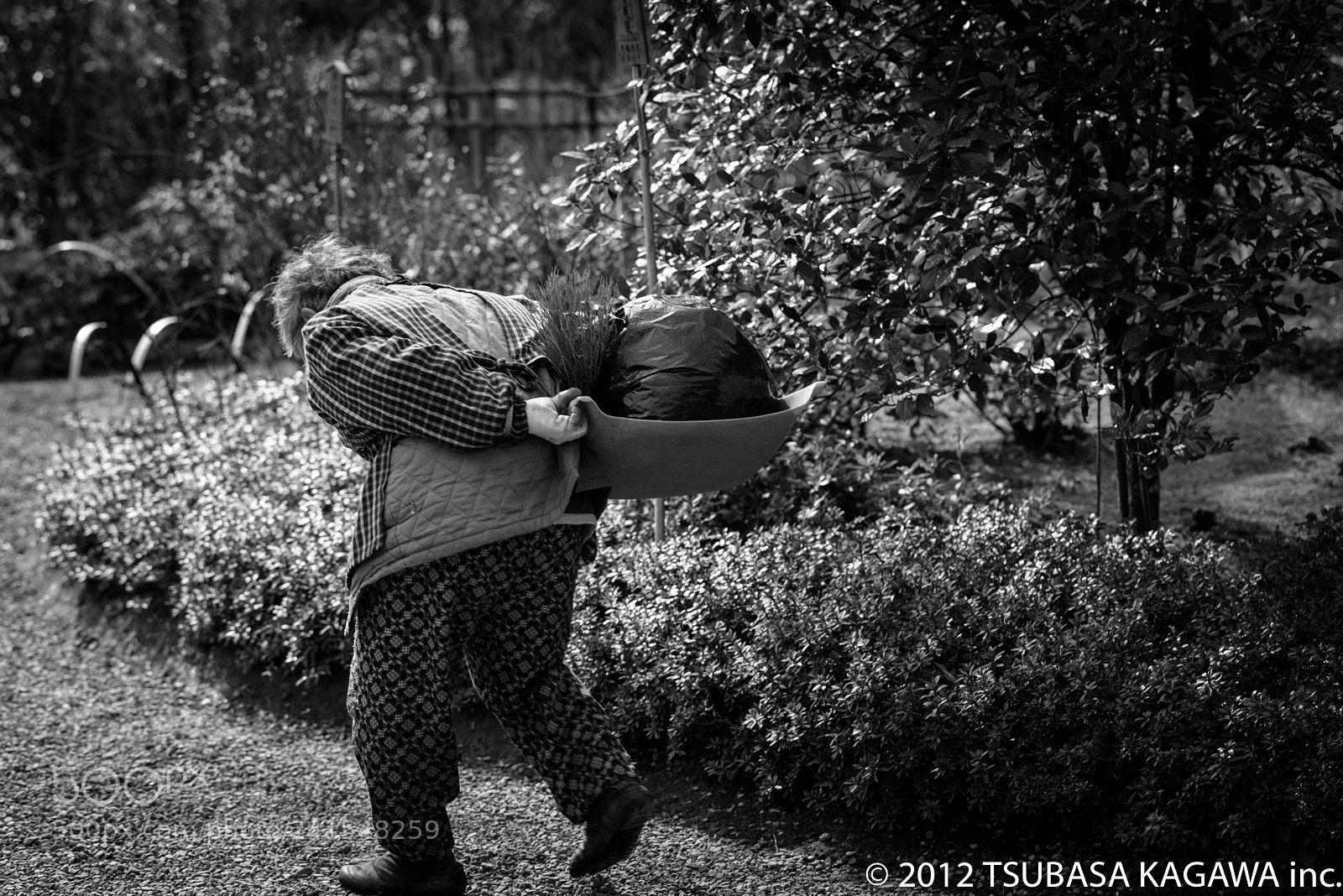 Nikon D810 sample photo. Untitled photography