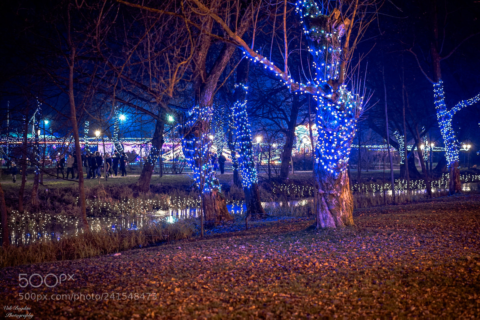Sony a7 II sample photo. Christmas lights photography