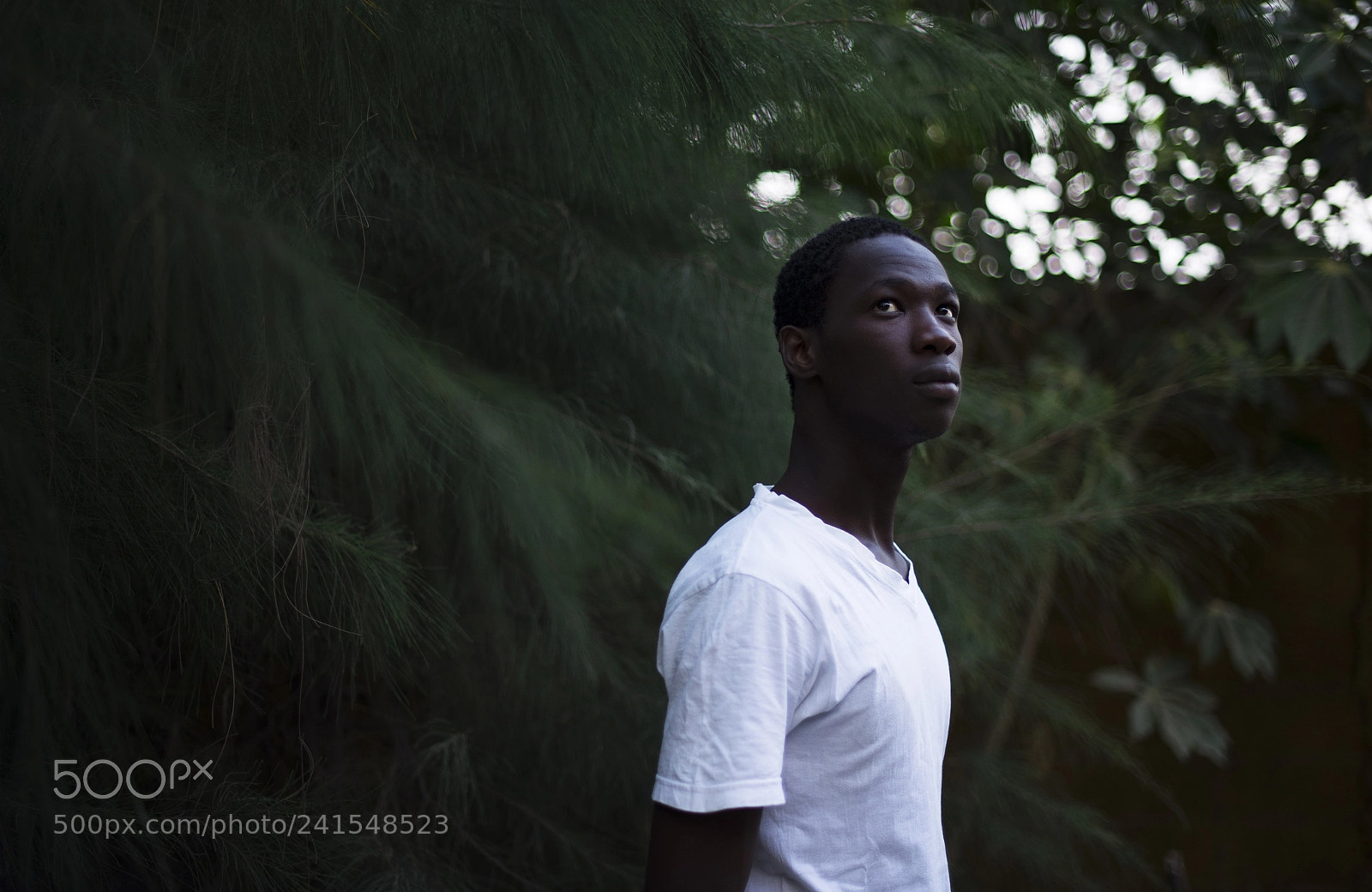 Nikon D600 sample photo. Untitled photography