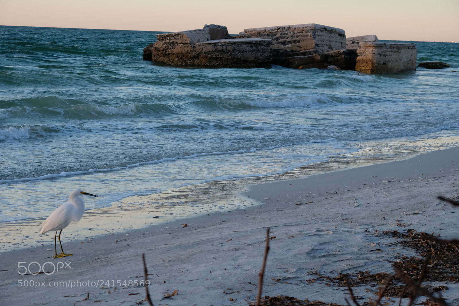 Fujifilm X-E3 sample photo. Bird photography