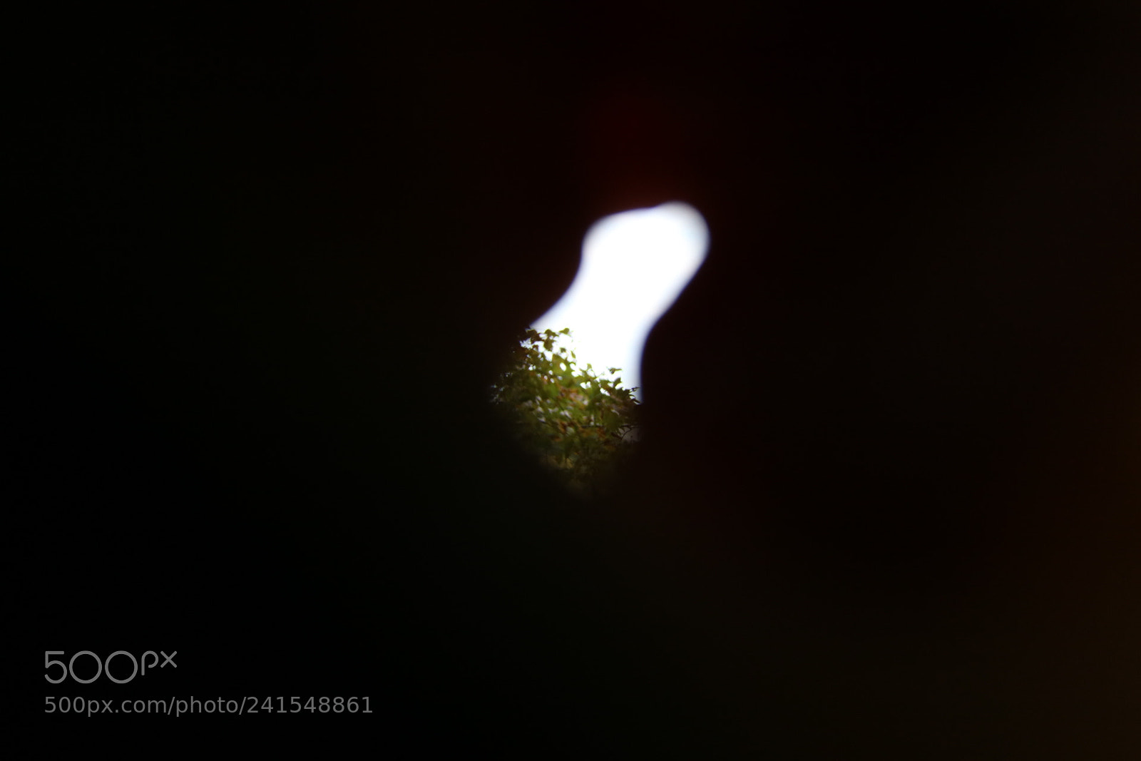 Canon EOS 750D (EOS Rebel T6i / EOS Kiss X8i) sample photo. Hole in the picture photography