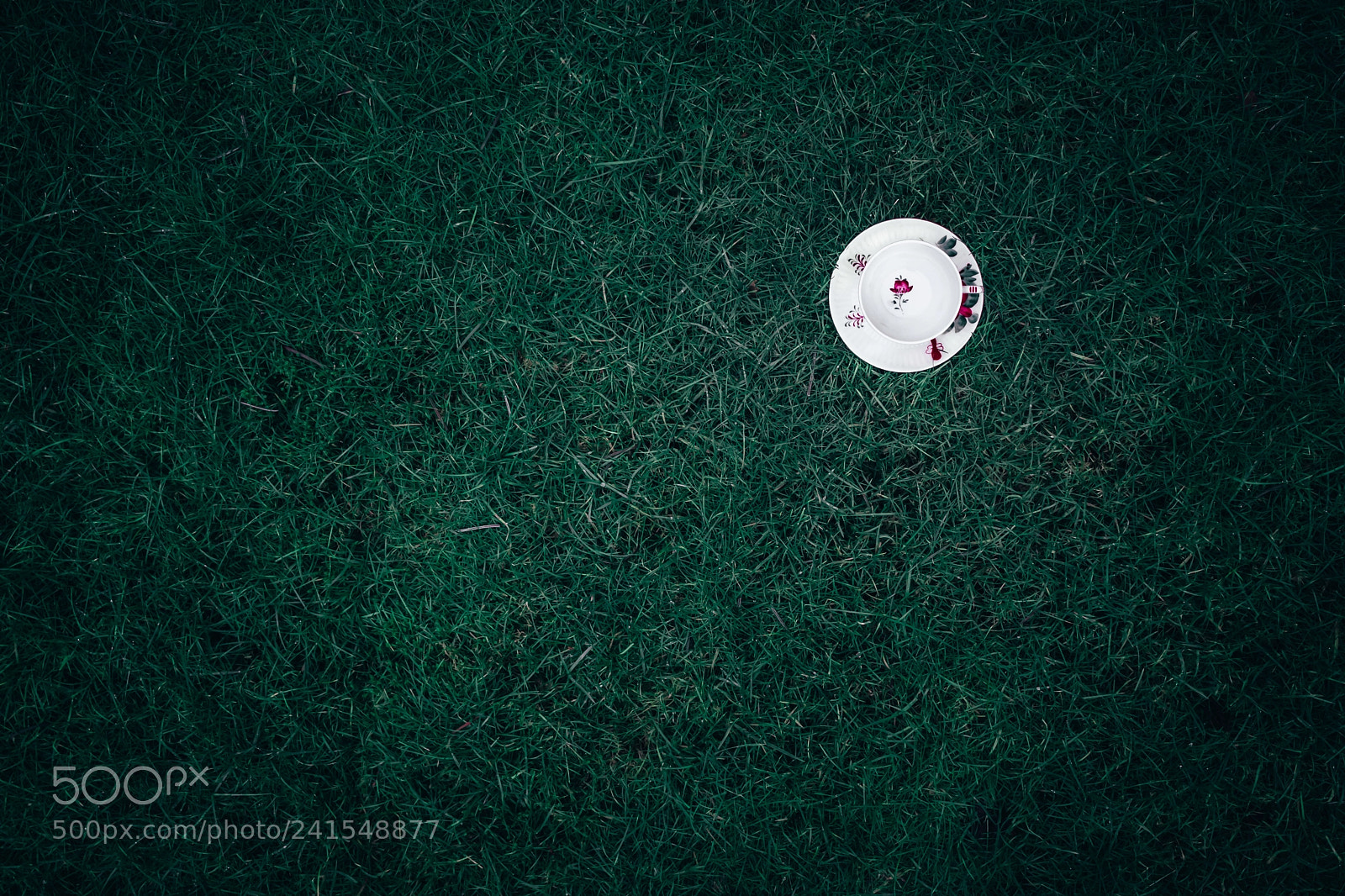 Canon EOS 77D (EOS 9000D / EOS 770D) sample photo. Untitled photography