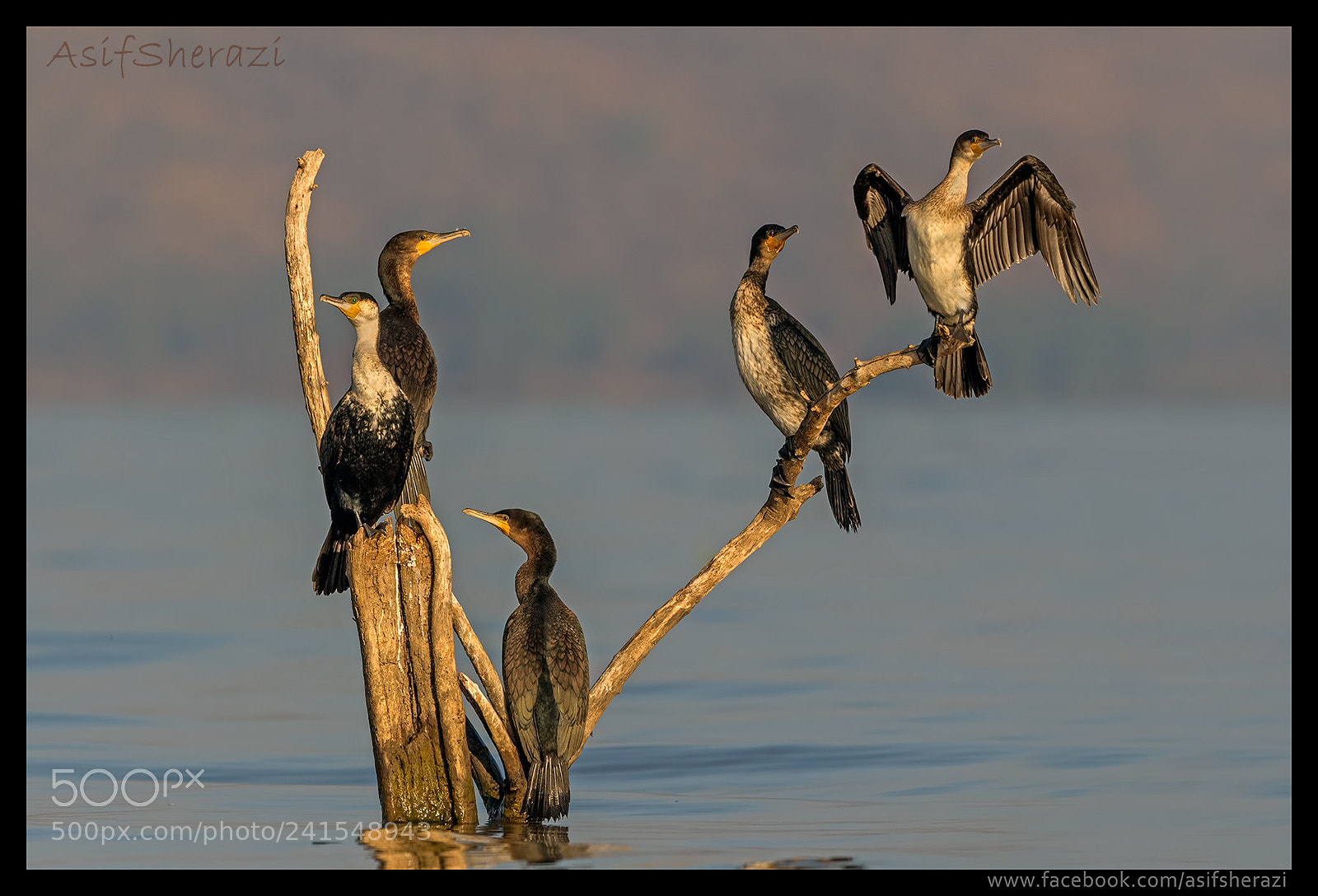 Nikon D5 sample photo. Beauty of the nature photography