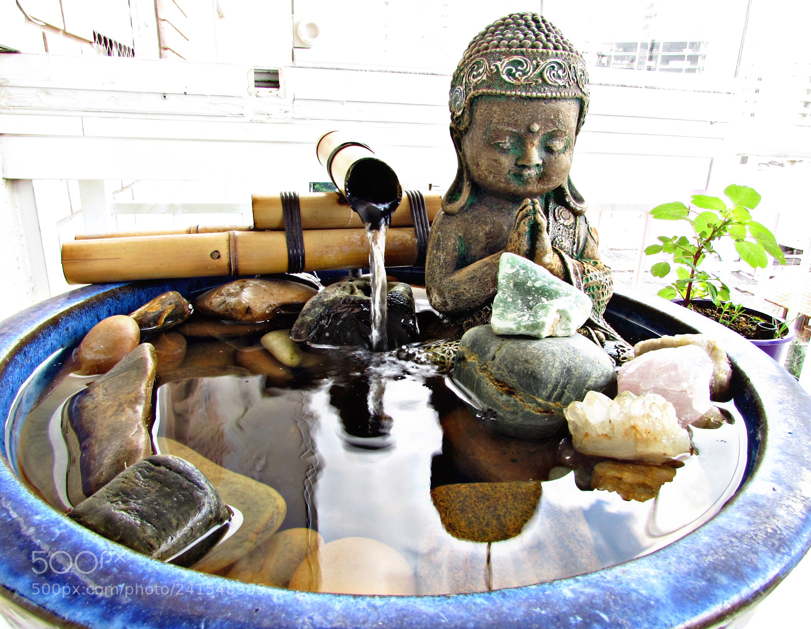 Canon PowerShot SX510 HS sample photo. Untitled photography