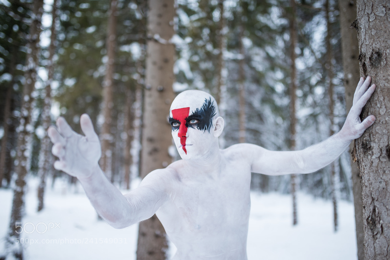 Nikon D810 sample photo. The human hawk photography