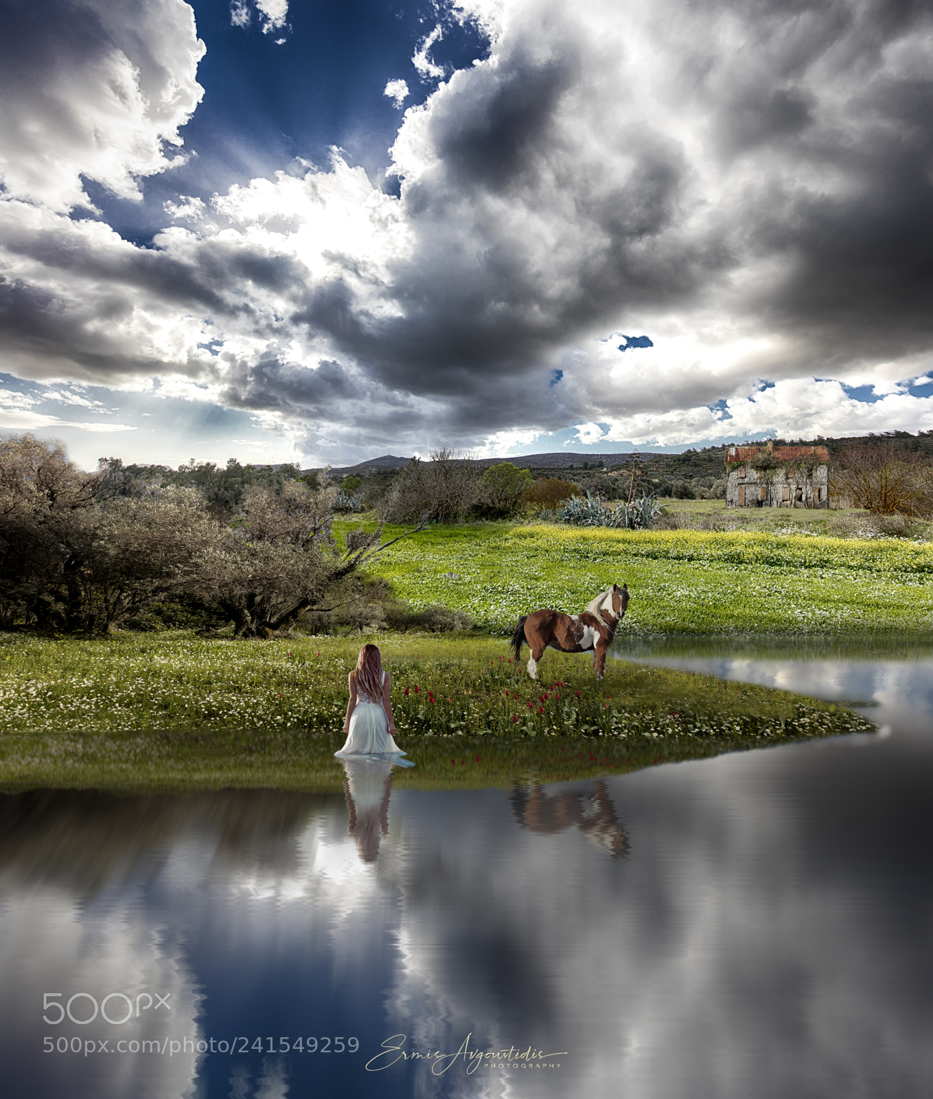Canon EOS 5DS R sample photo. Untitled photography