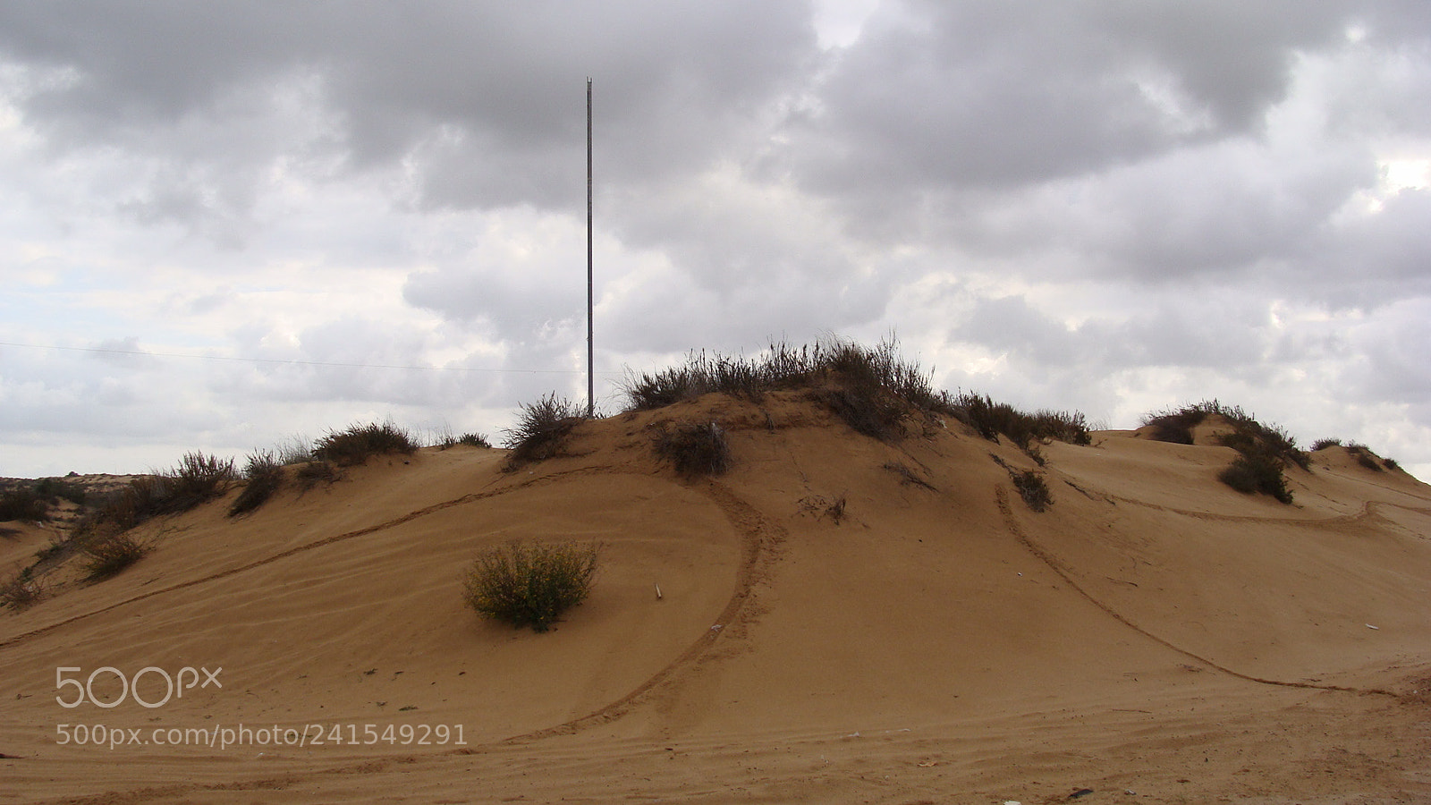 Sony Cyber-shot DSC-H10 sample photo. Happy dunes, after some photography