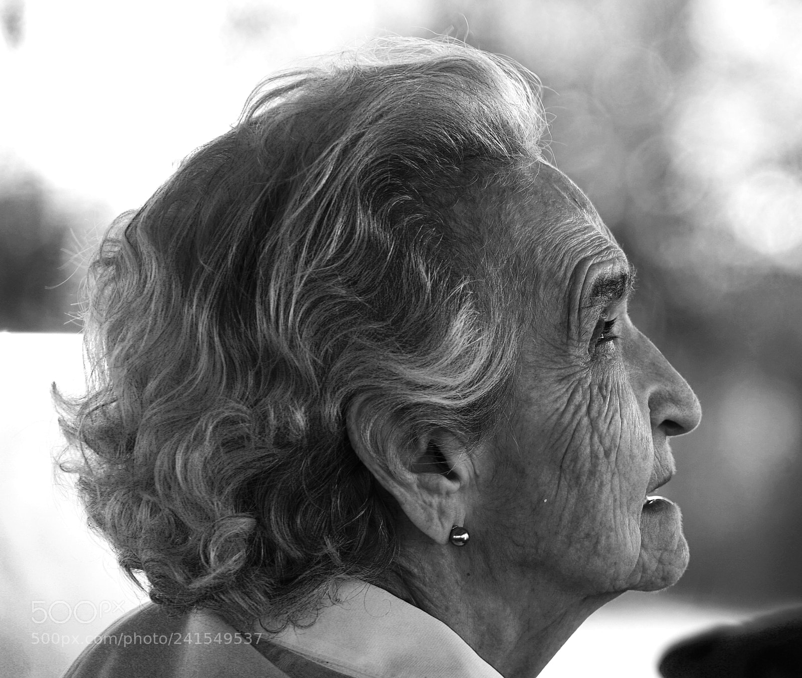 Sony a7S II sample photo. " del toro " photography