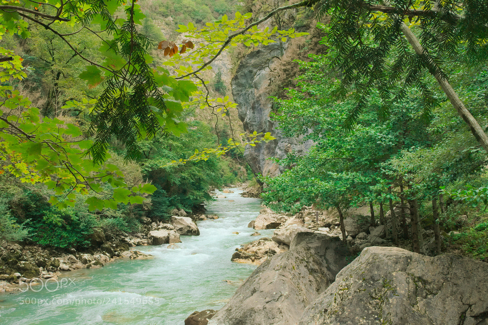 Nikon D3100 sample photo. A mountain river photography