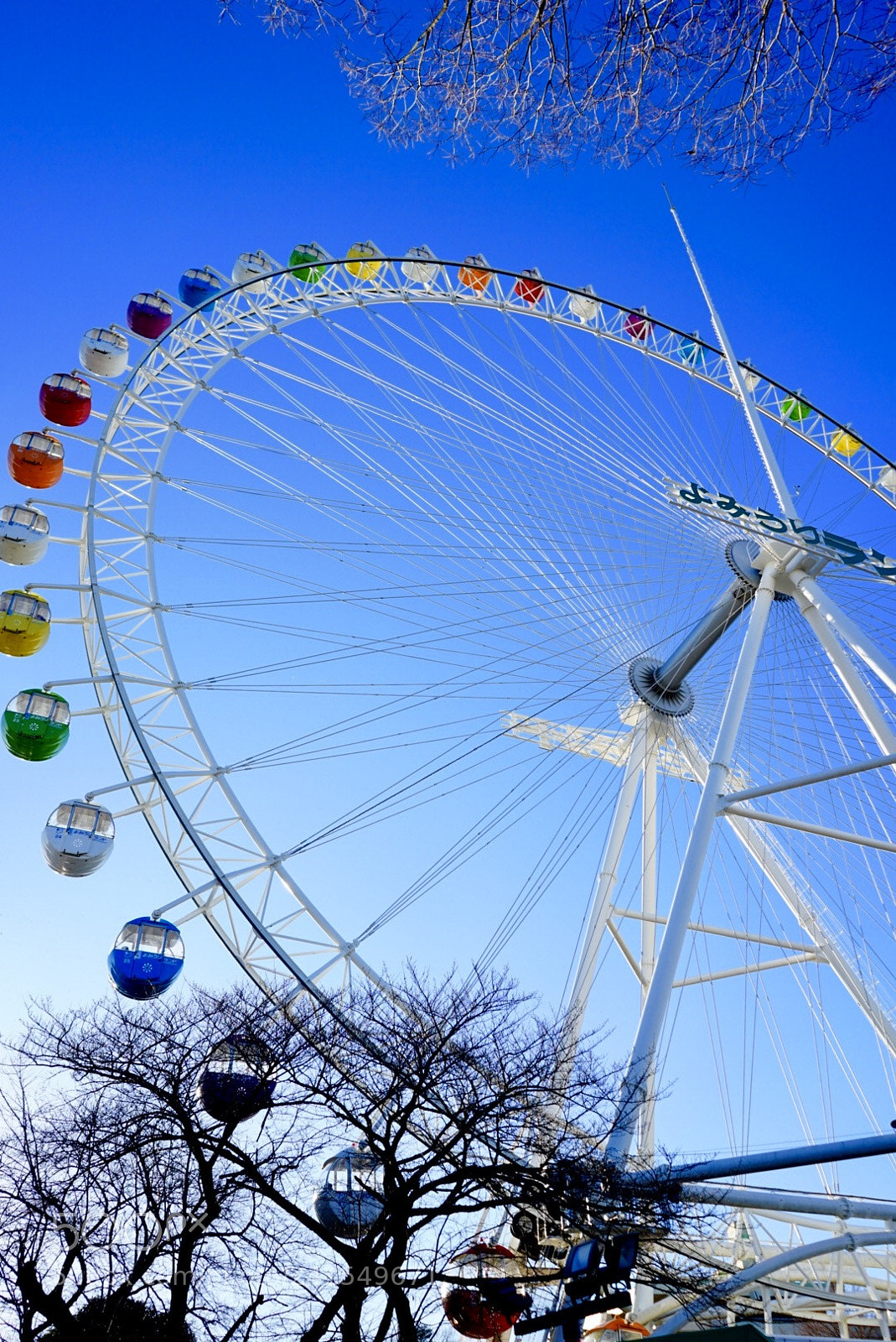 Sony a7 II sample photo. Yomiuri land, tokyo photography