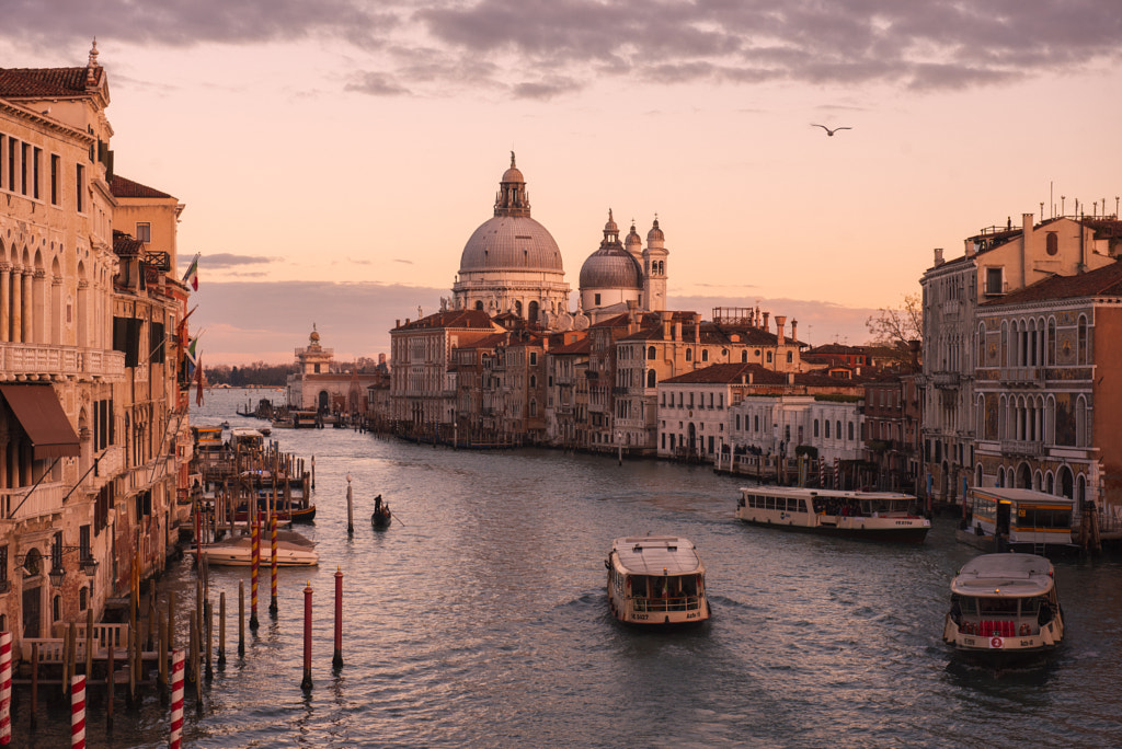 Venetian Dream by Rene Chaffins on 500px.com