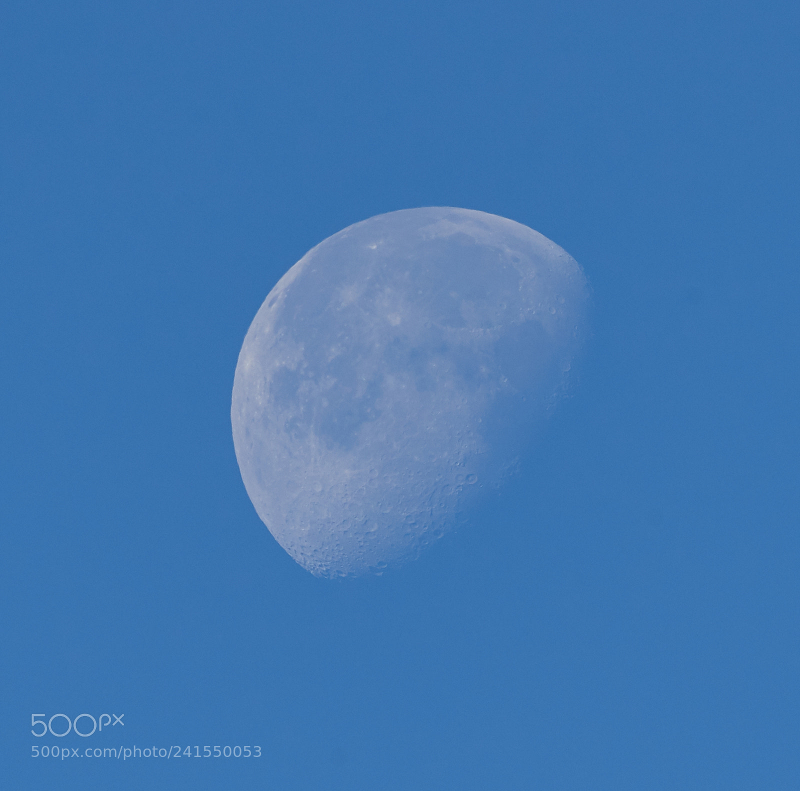 Canon EOS-1D X Mark II sample photo. 01-06-18-8130.jpg photography