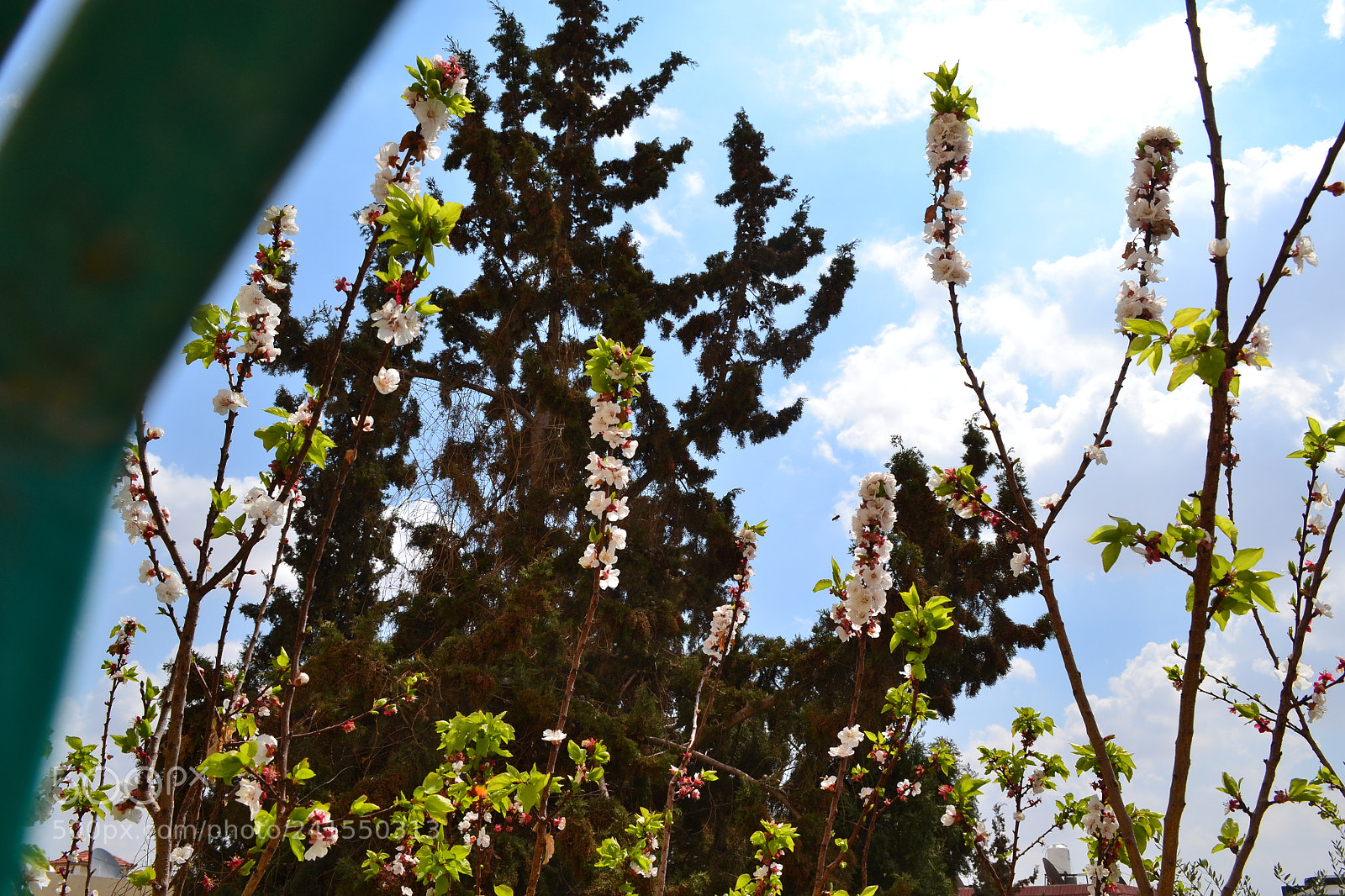 Nikon D3100 sample photo. Untitled photography