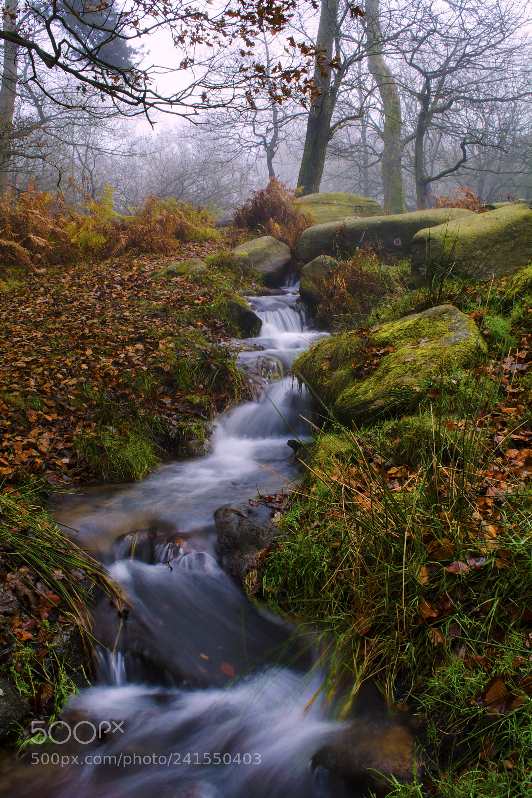 Nikon D7100 sample photo. Padley gorge, derbyshire, uk photography
