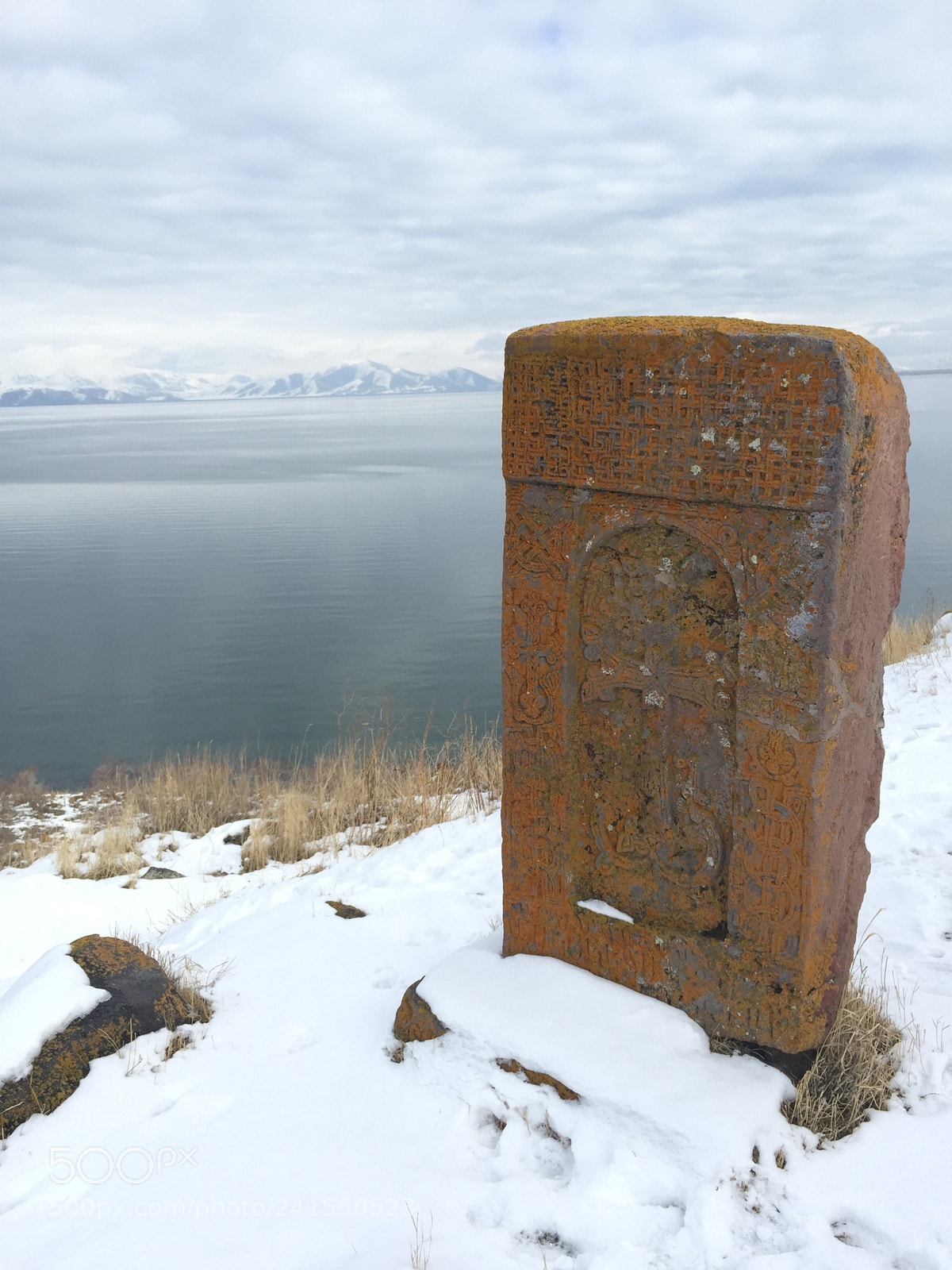 Apple iPhone 6 sample photo. Untitled photography