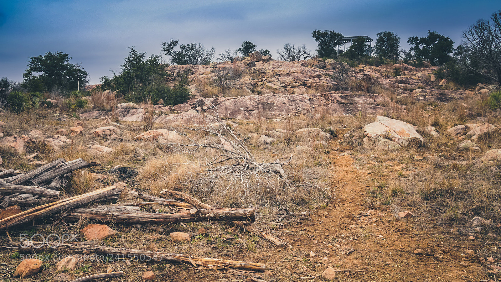 Sony a6500 sample photo. Hill country photography