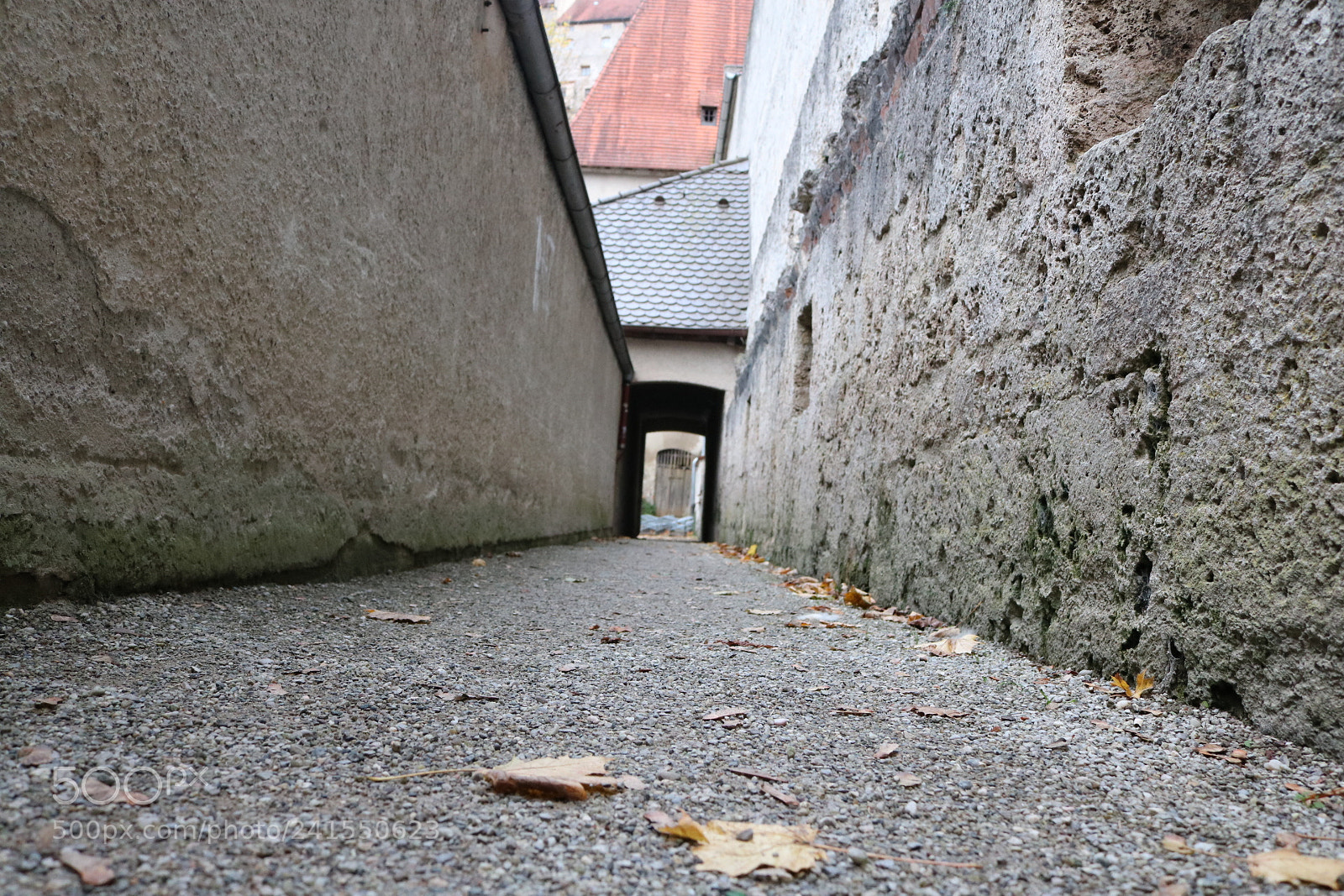 Canon EOS 750D (EOS Rebel T6i / EOS Kiss X8i) sample photo. The way to the photography