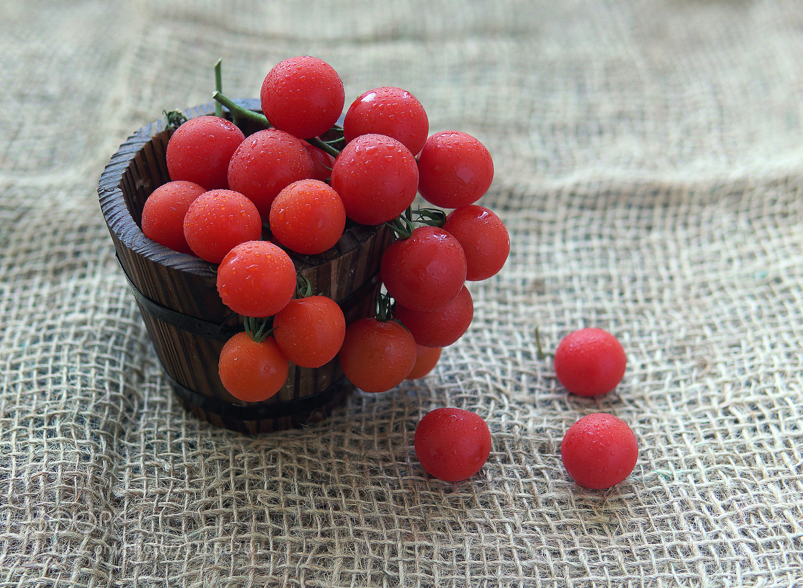 Sony a6300 sample photo. Baby tomatoes photography