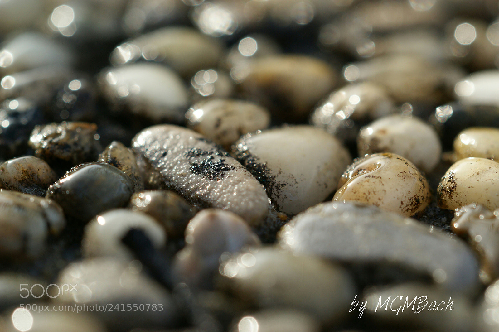 Sony Alpha DSLR-A350 sample photo. Stones photography