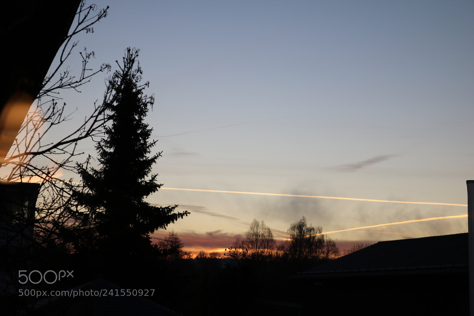 Canon EOS 750D (EOS Rebel T6i / EOS Kiss X8i) sample photo. Aviator tracks photography